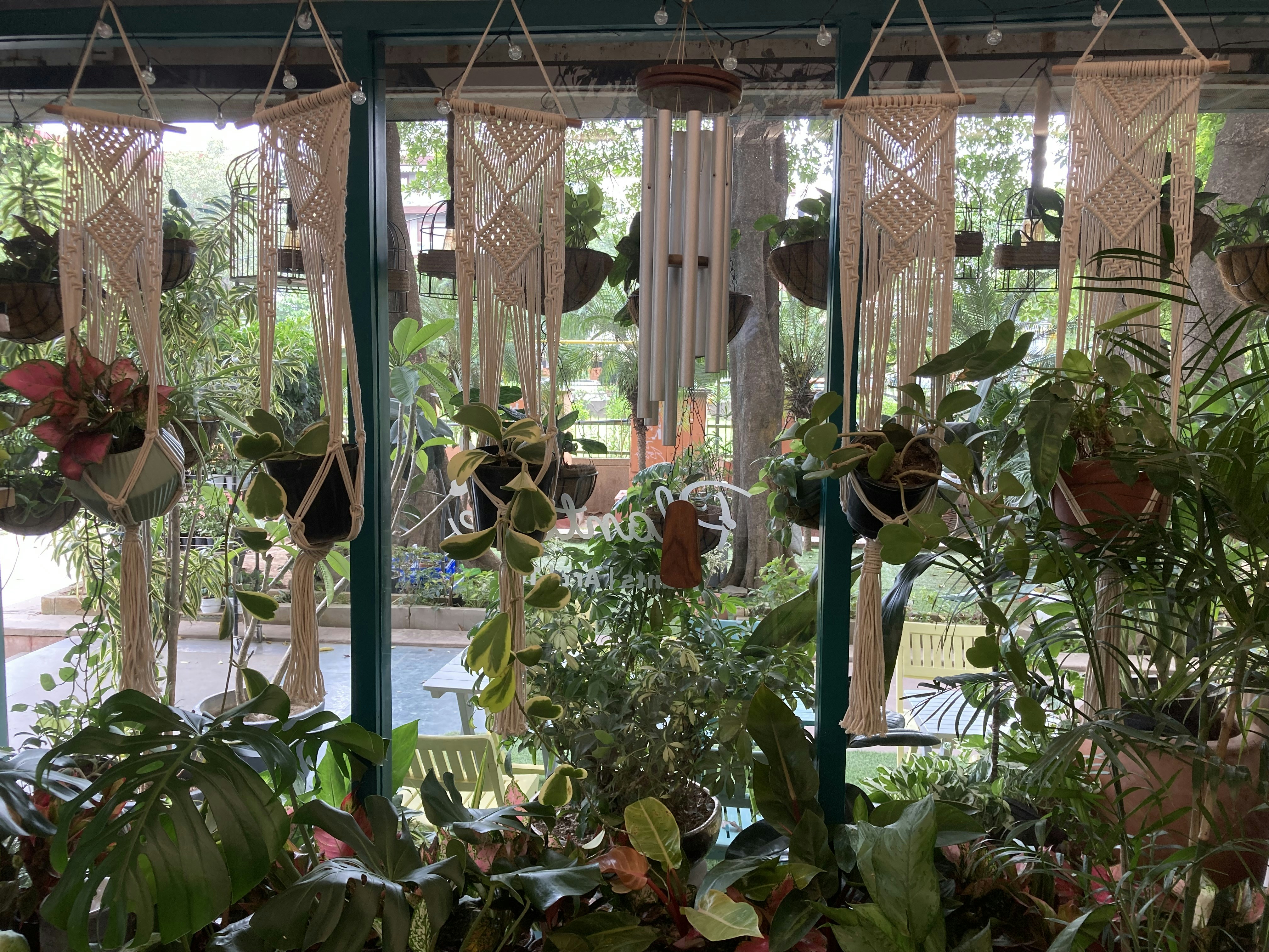 Photo by vikasbaniwal