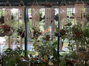 An assortment of plants hang from macrame holders in front of a glass window, with additional greenery visible outside. Various types of plants, including those with broad leaves, are arranged closely together, creating a lush and natural atmosphere. A wooden wind chime hangs centrally in the composition.