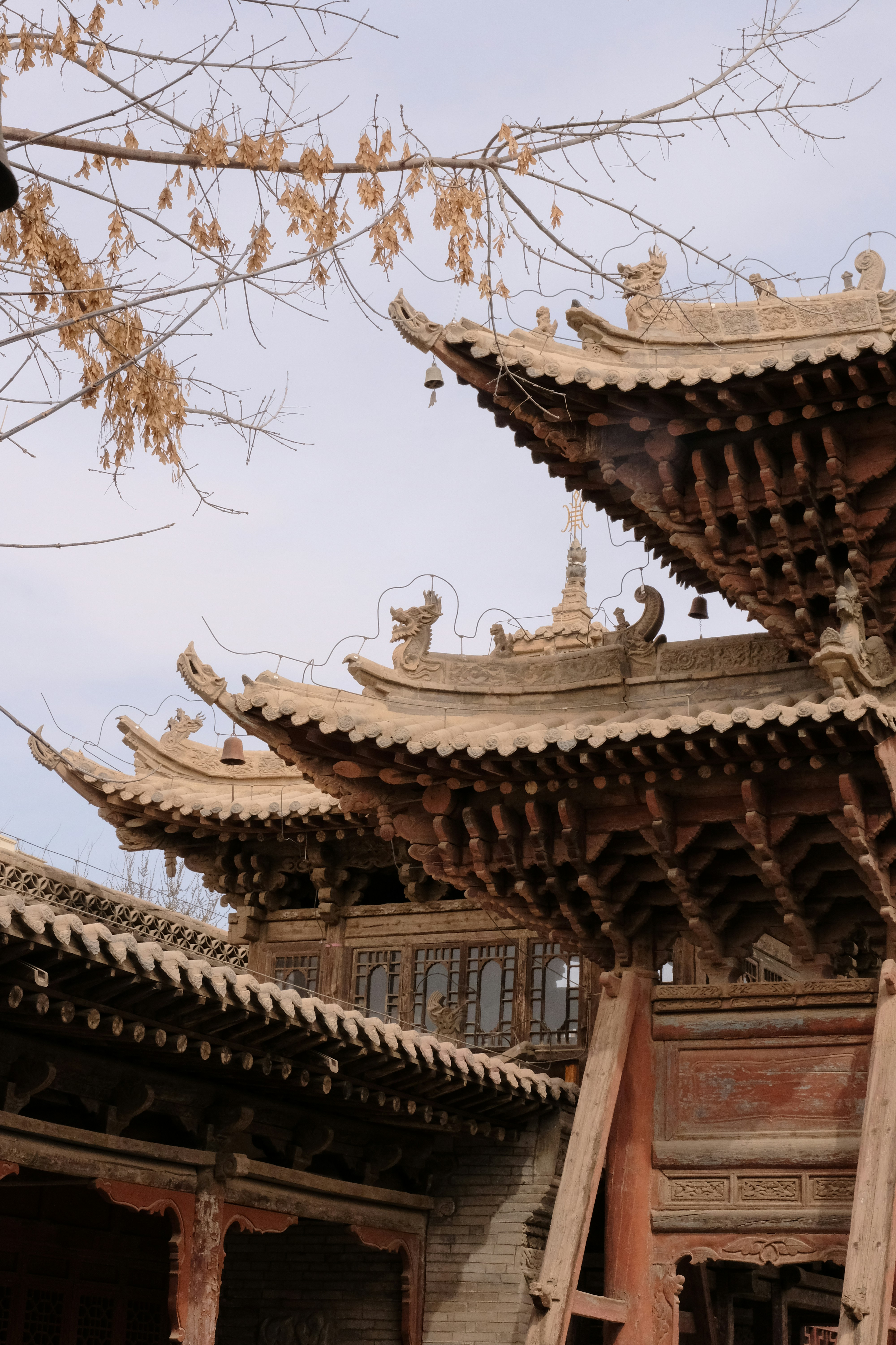 Photo by freyacheung