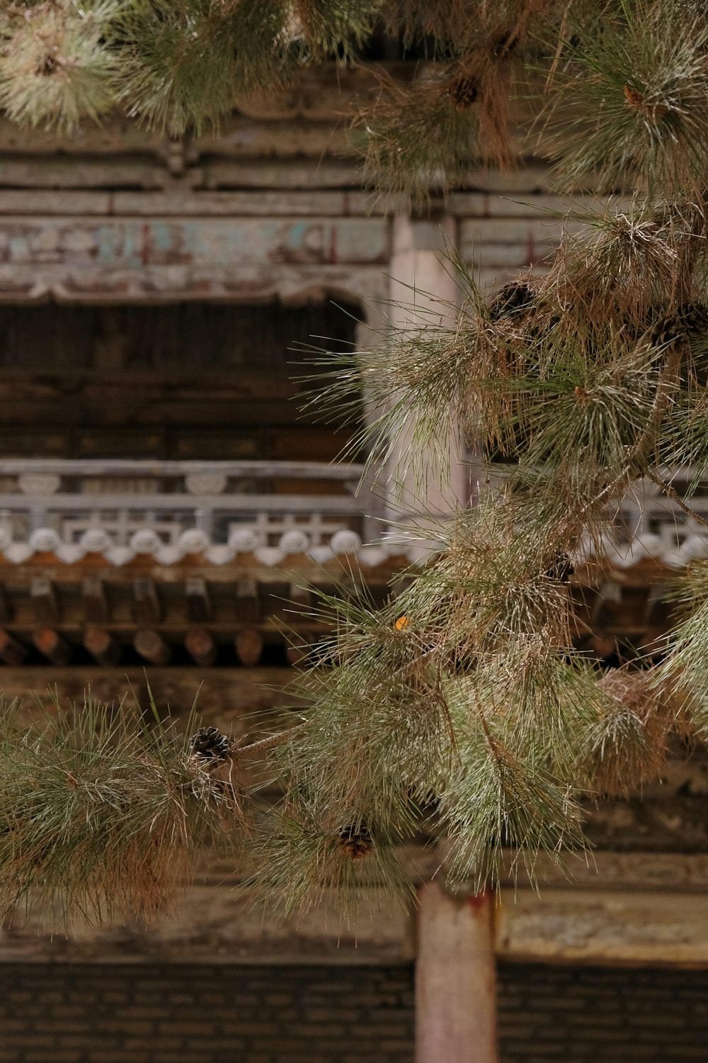 a bird perched on top of a tree next to a building