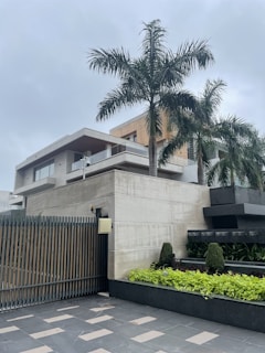 a modern house with a palm tree in front of it
