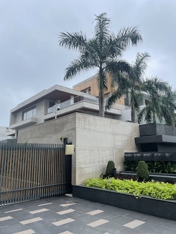 a modern house with a palm tree in front of it