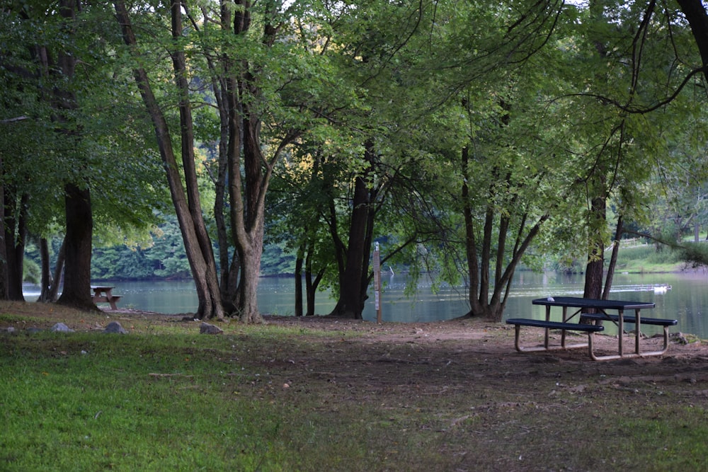 a picnic table in a park next to a lake