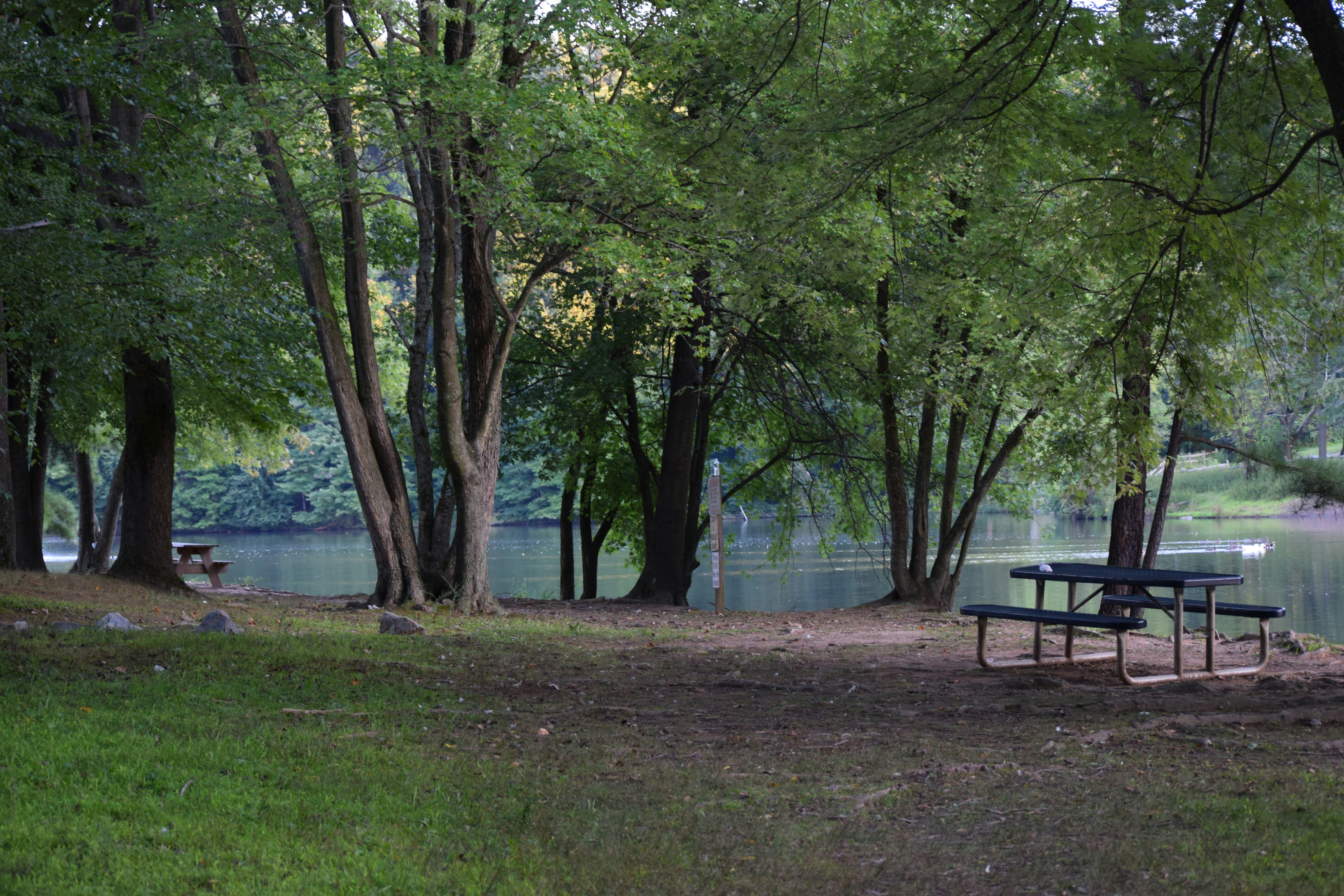 Perfect picnic spot at Carousel park.