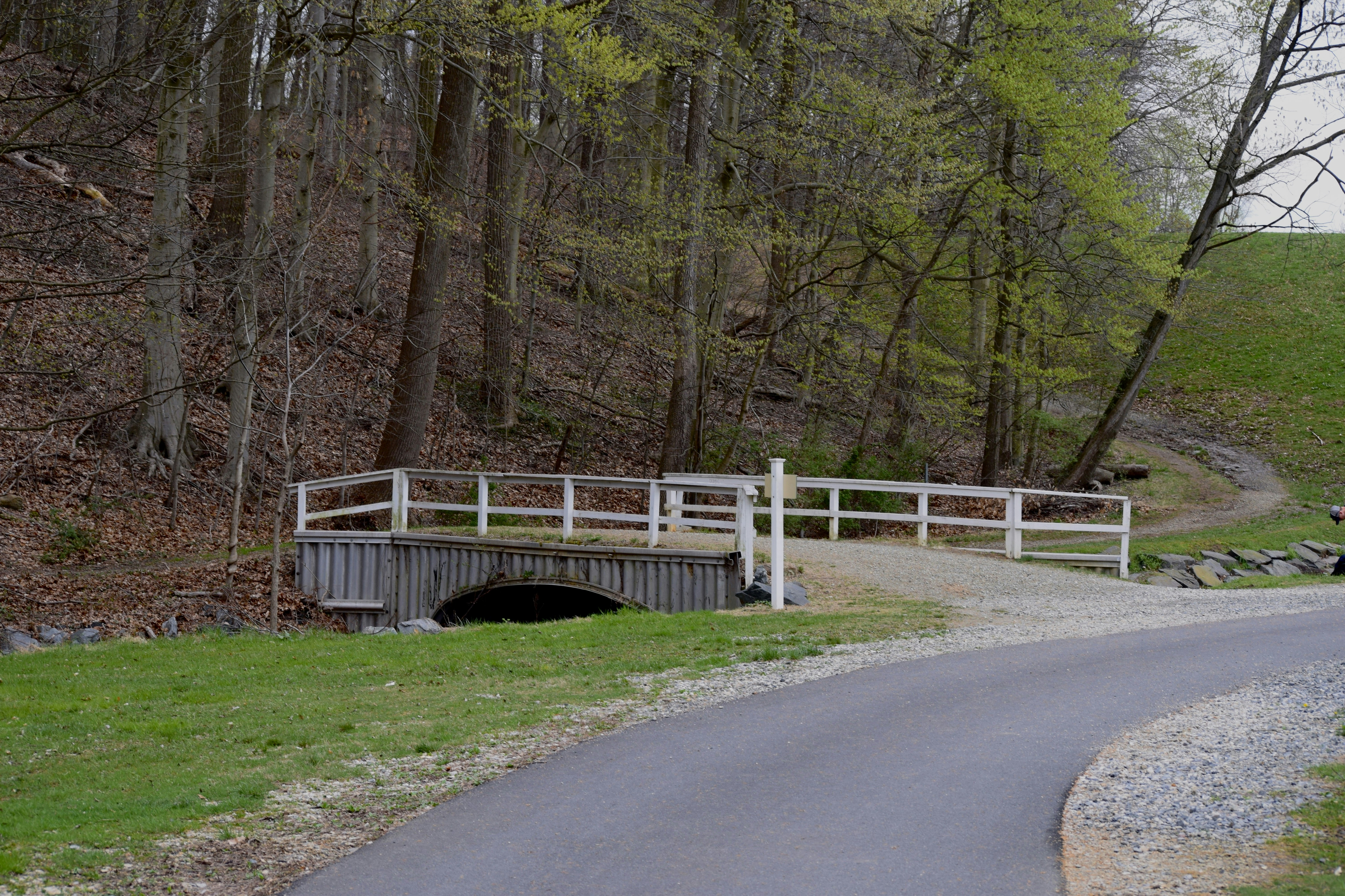 Beautiful path winding through Carousel park.