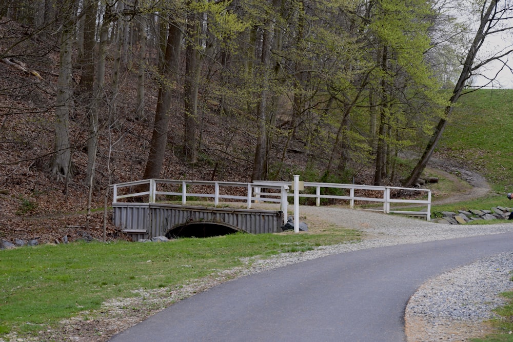 un petit pont au-dessus d’une petite route dans les bois