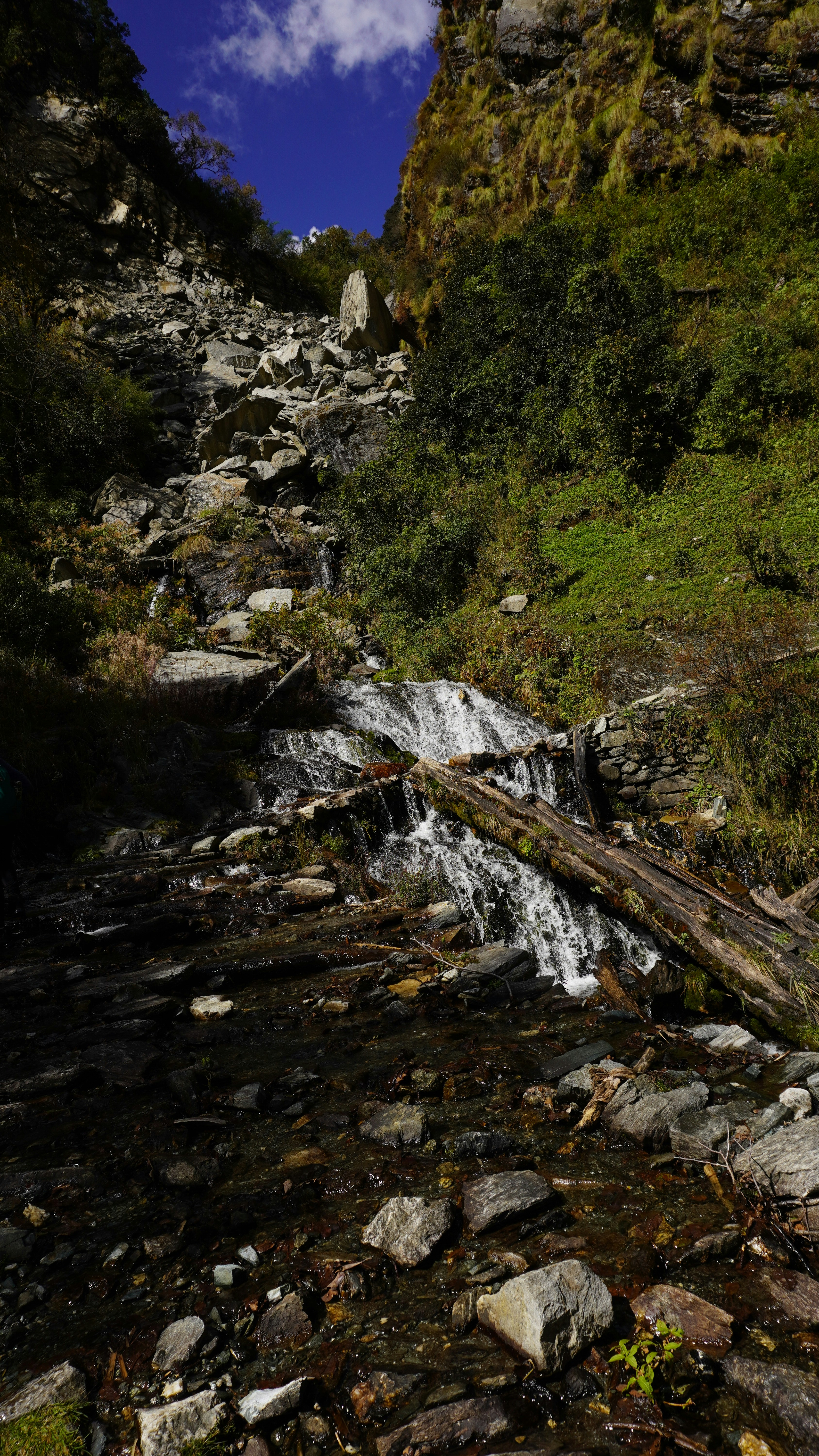 Photo by pavitra_baxi