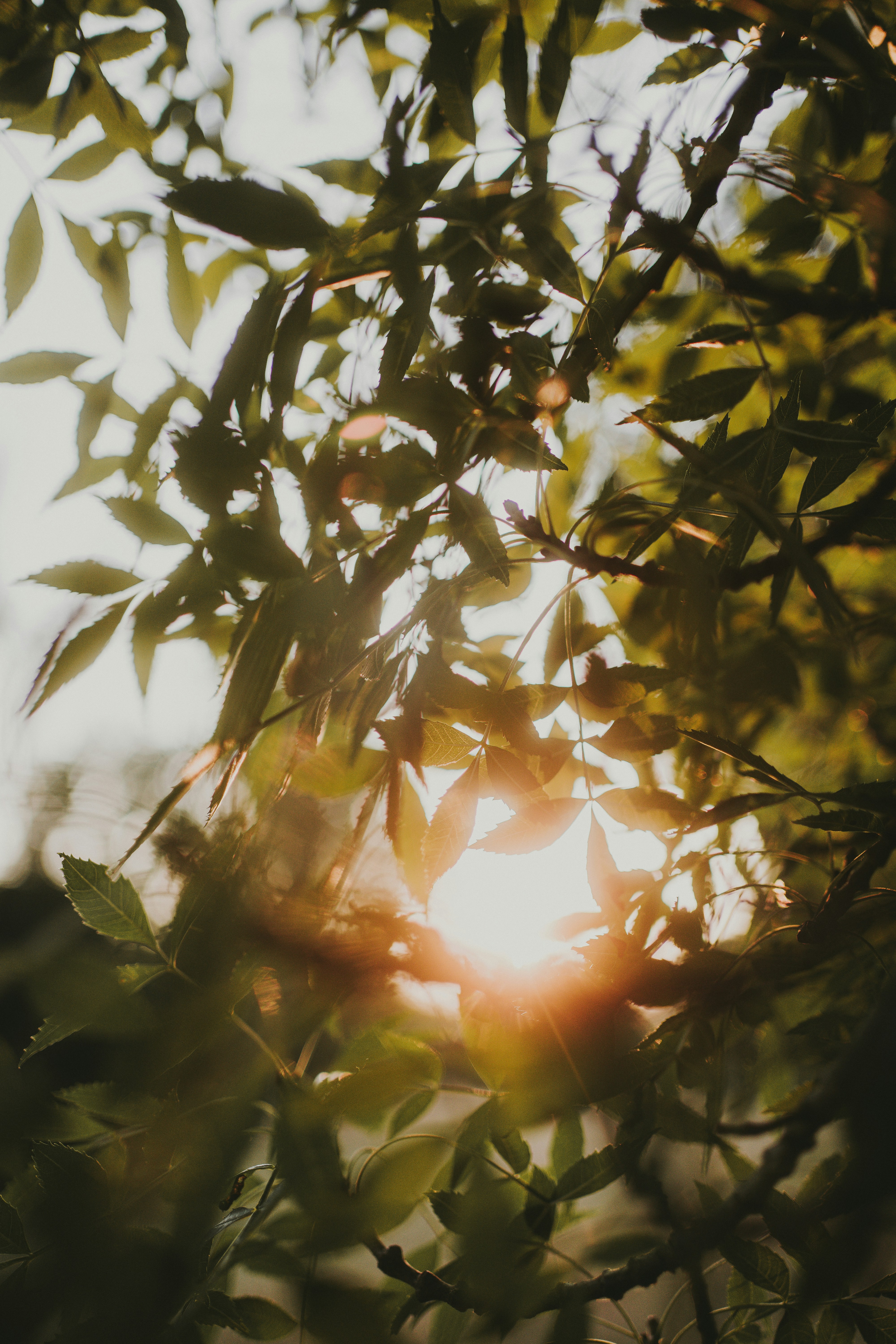 Business Name Alignment