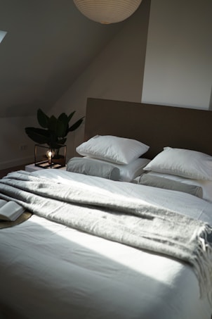 A neatly made bed with a thick, light-colored blanket and two white pillows is positioned against a neutral-toned wall. A soft, warm light from a lamp on a bedside table creates a cozy atmosphere. A large green plant adds freshness to the room, and an open book lies on the blanket near the pillows.