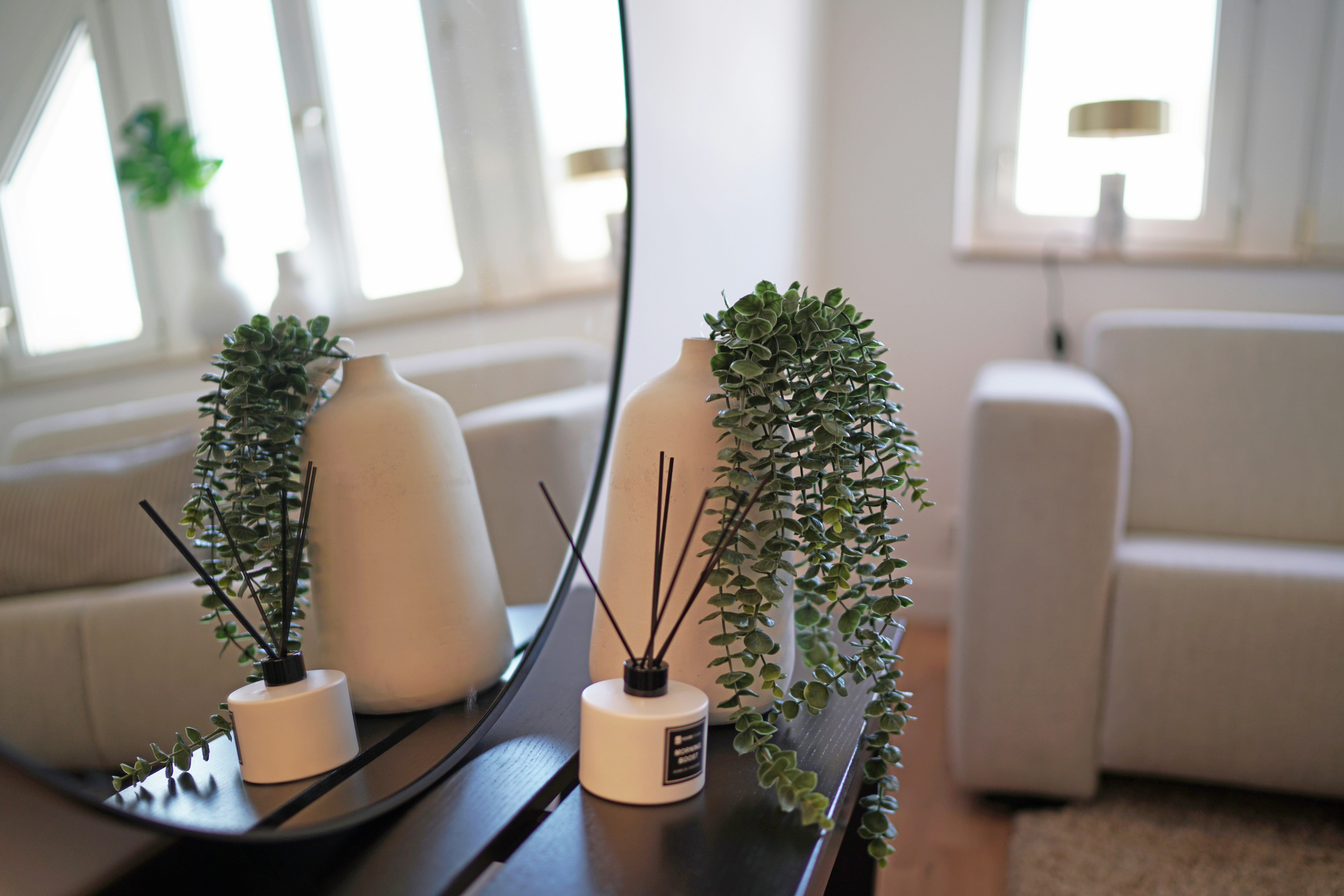 un espejo y algunas plantas sobre una mesa