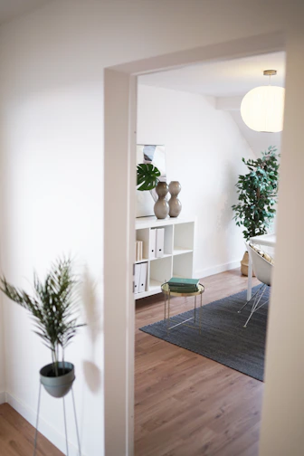 A sleek, minimalist bookshelf in a cozy living room filled with books and small plants.