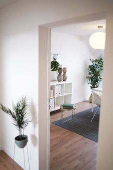 A modern and minimalist interior featuring a small living area with a white bookshelf containing decorative items and books. There is a round, green stool on a blue-grey rug, and potted plants are placed at the entrance and near the bookshelf. A spherical pendant light hangs from the ceiling, and the room has a light and airy atmosphere with wooden flooring.