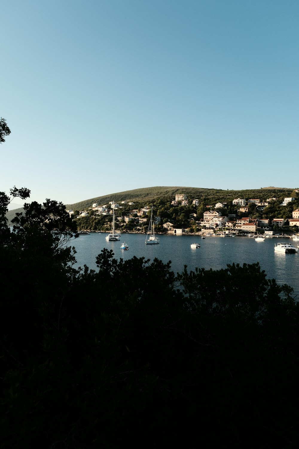 Un port rempli de nombreux bateaux flottant au-dessus d’un lac