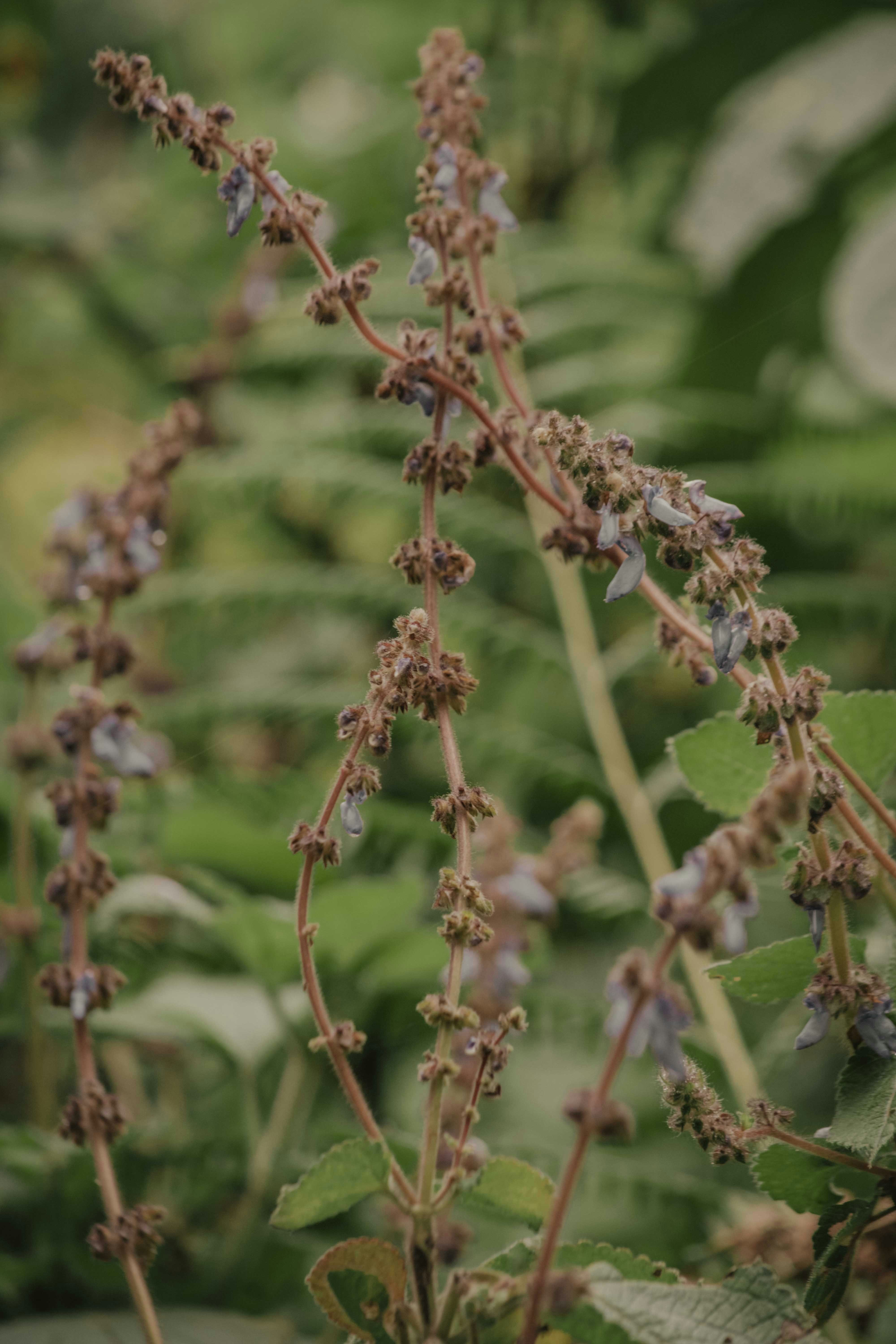 Photo by utunzajiwamazingira