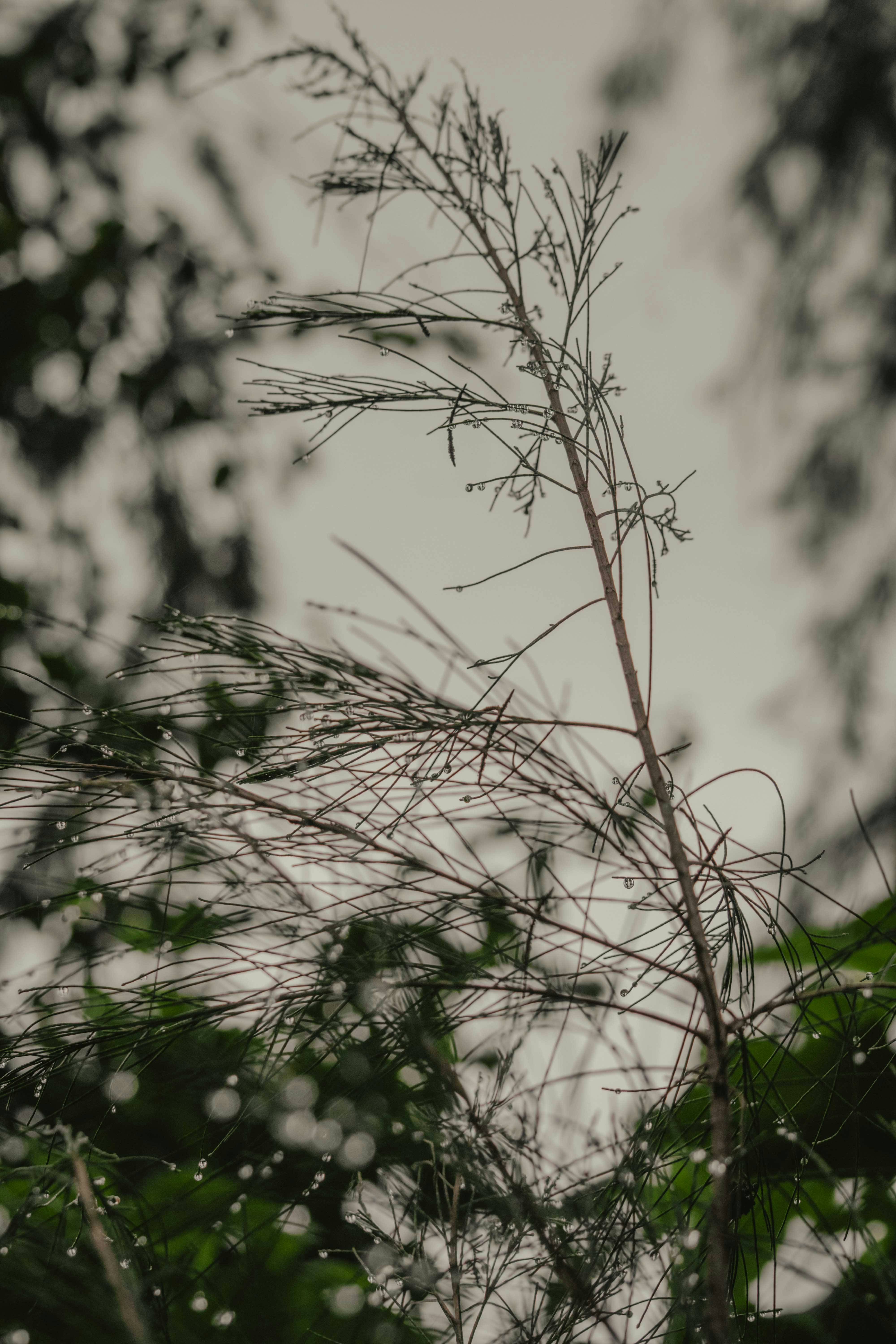 Photo by utunzajiwamazingira