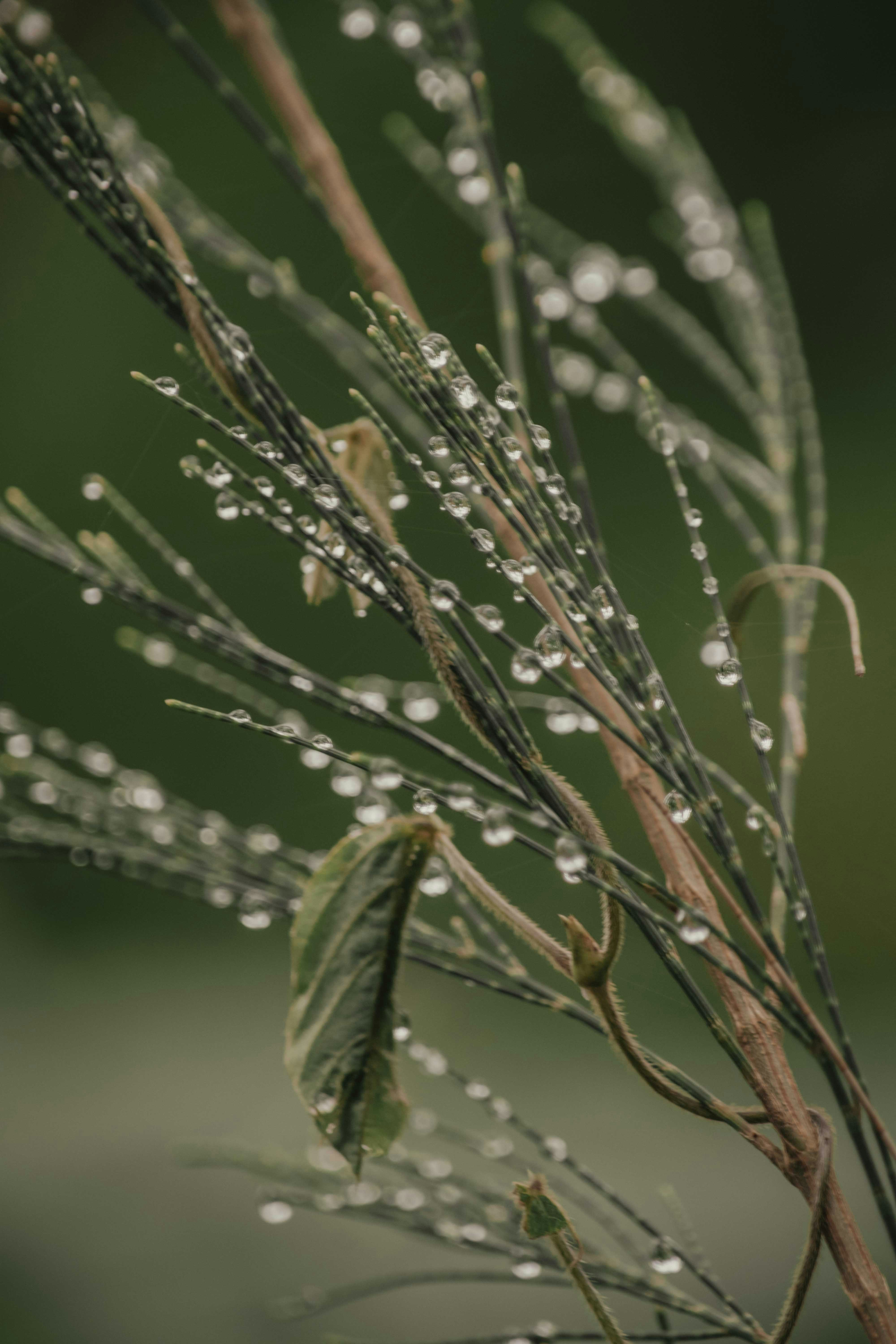 Photo by utunzajiwamazingira