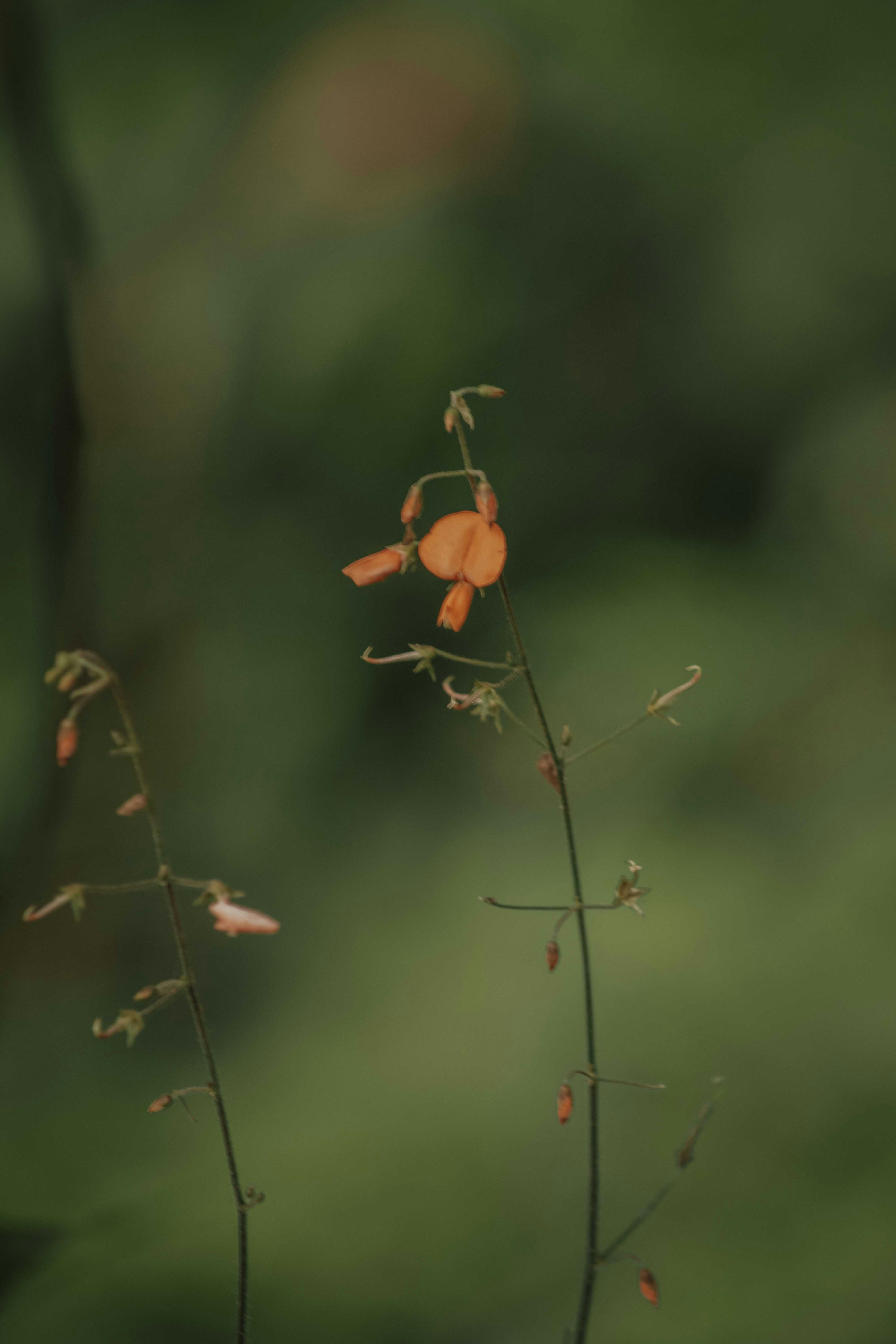 Photo by utunzajiwamazingira