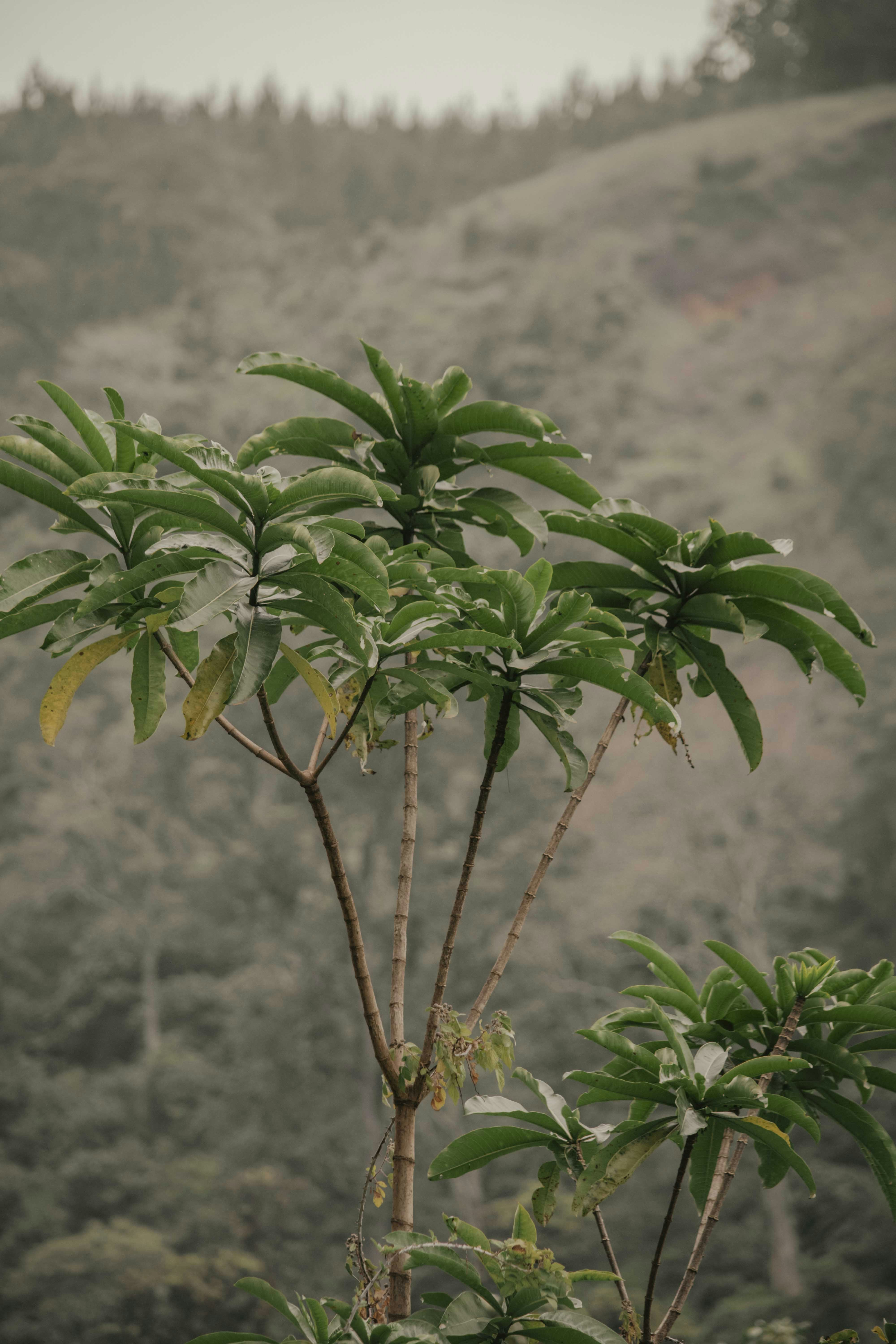 Photo by utunzajiwamazingira