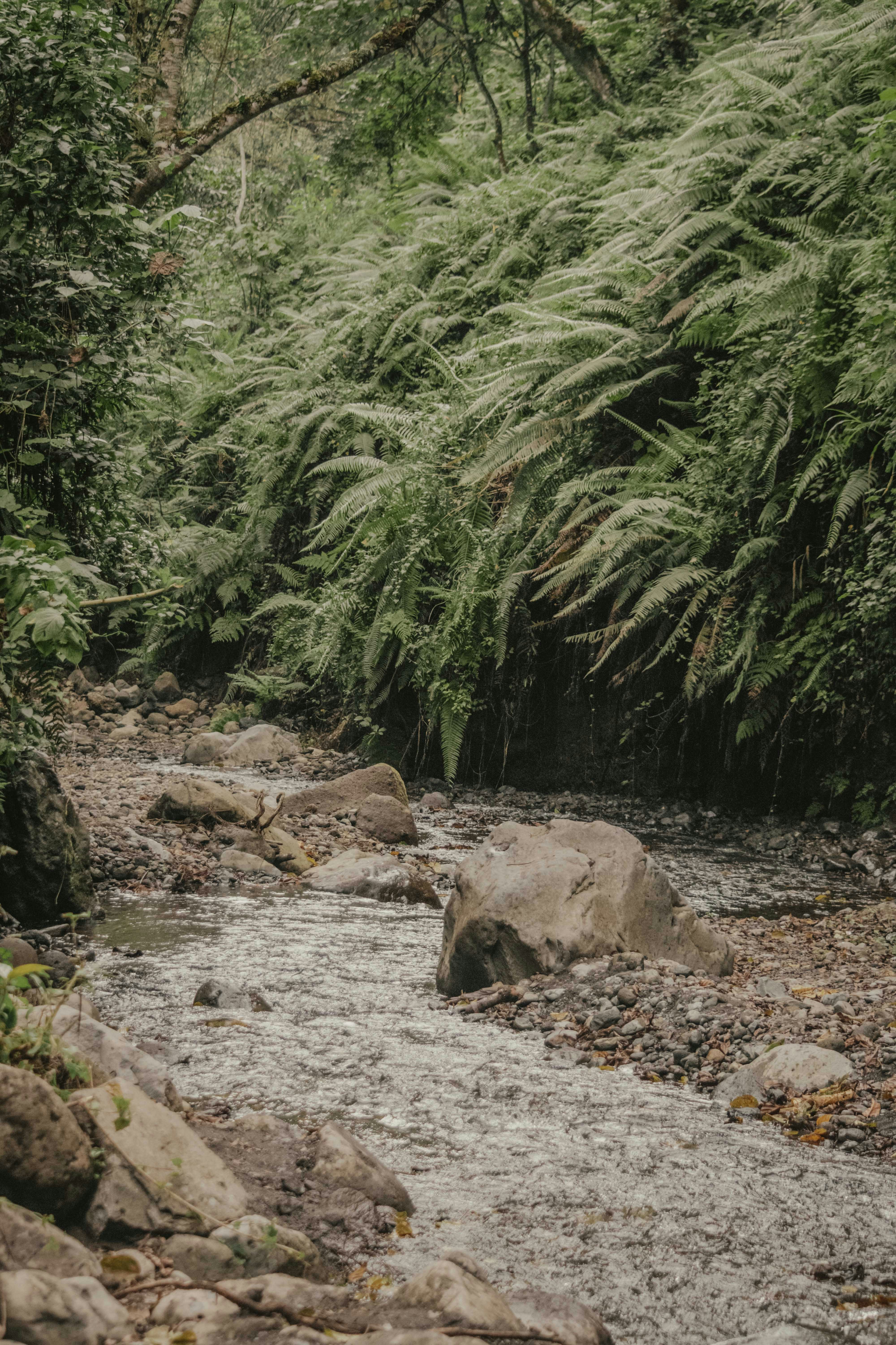 Photo by utunzajiwamazingira