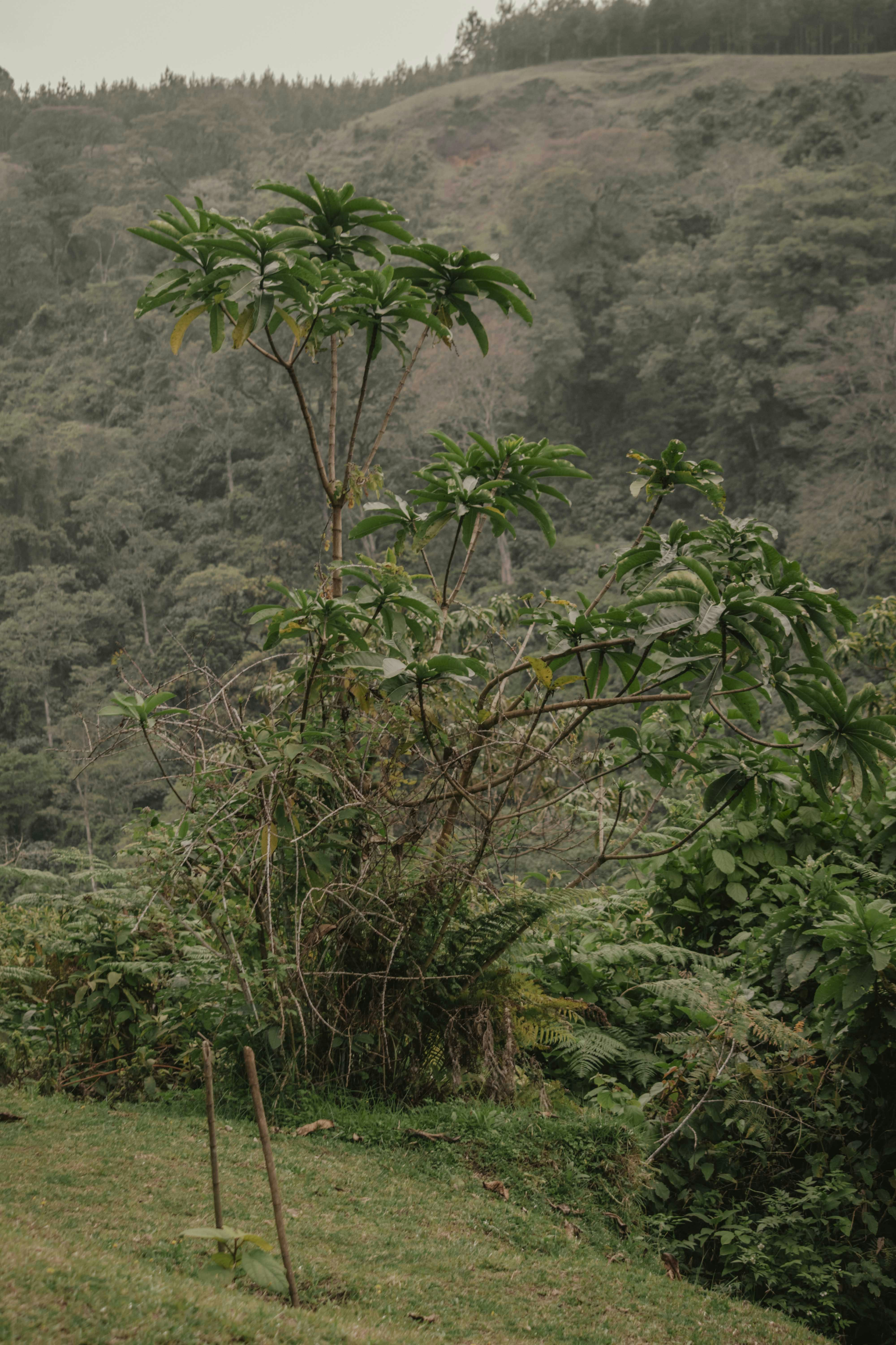 Photo by utunzajiwamazingira