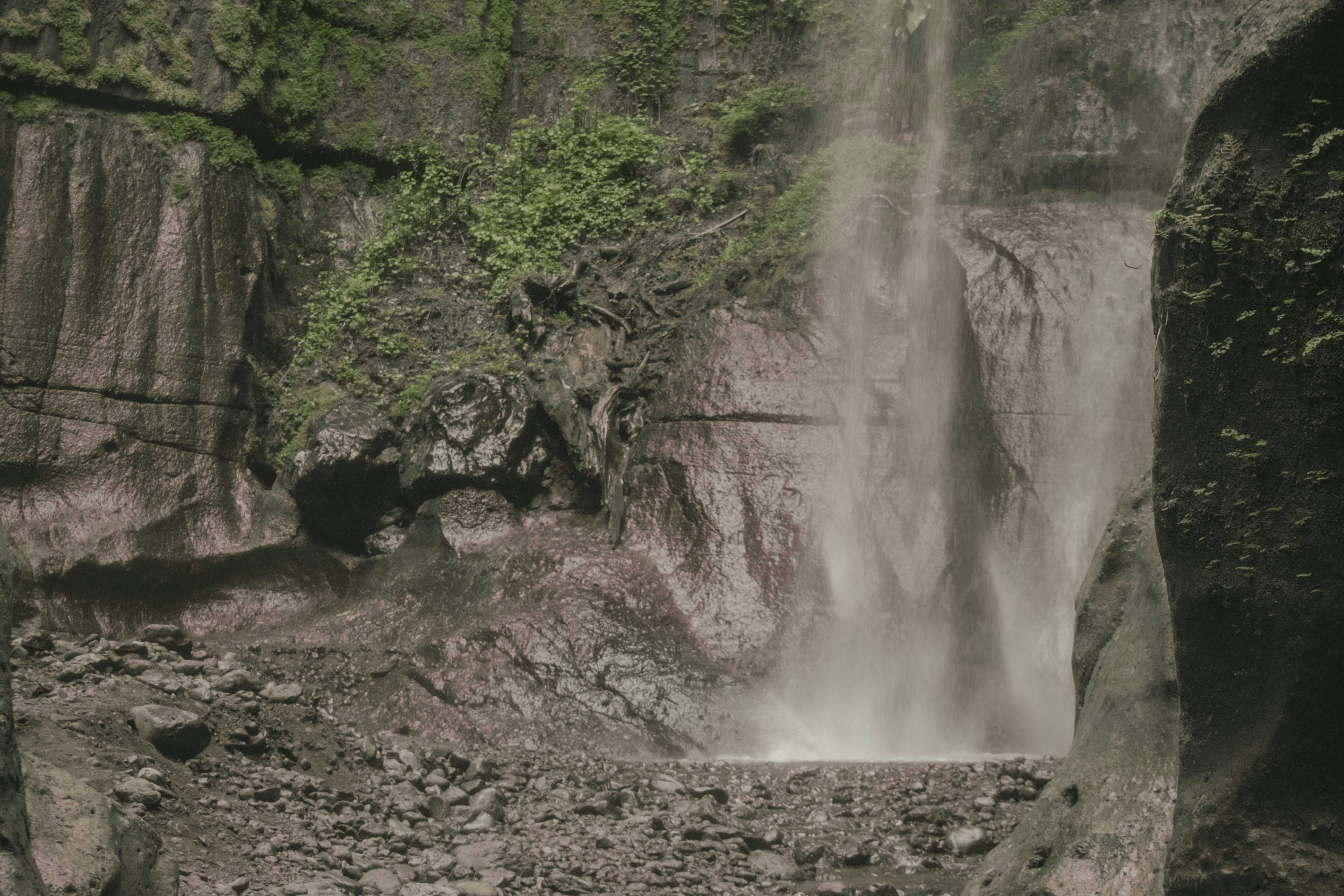 Photo by utunzajiwamazingira