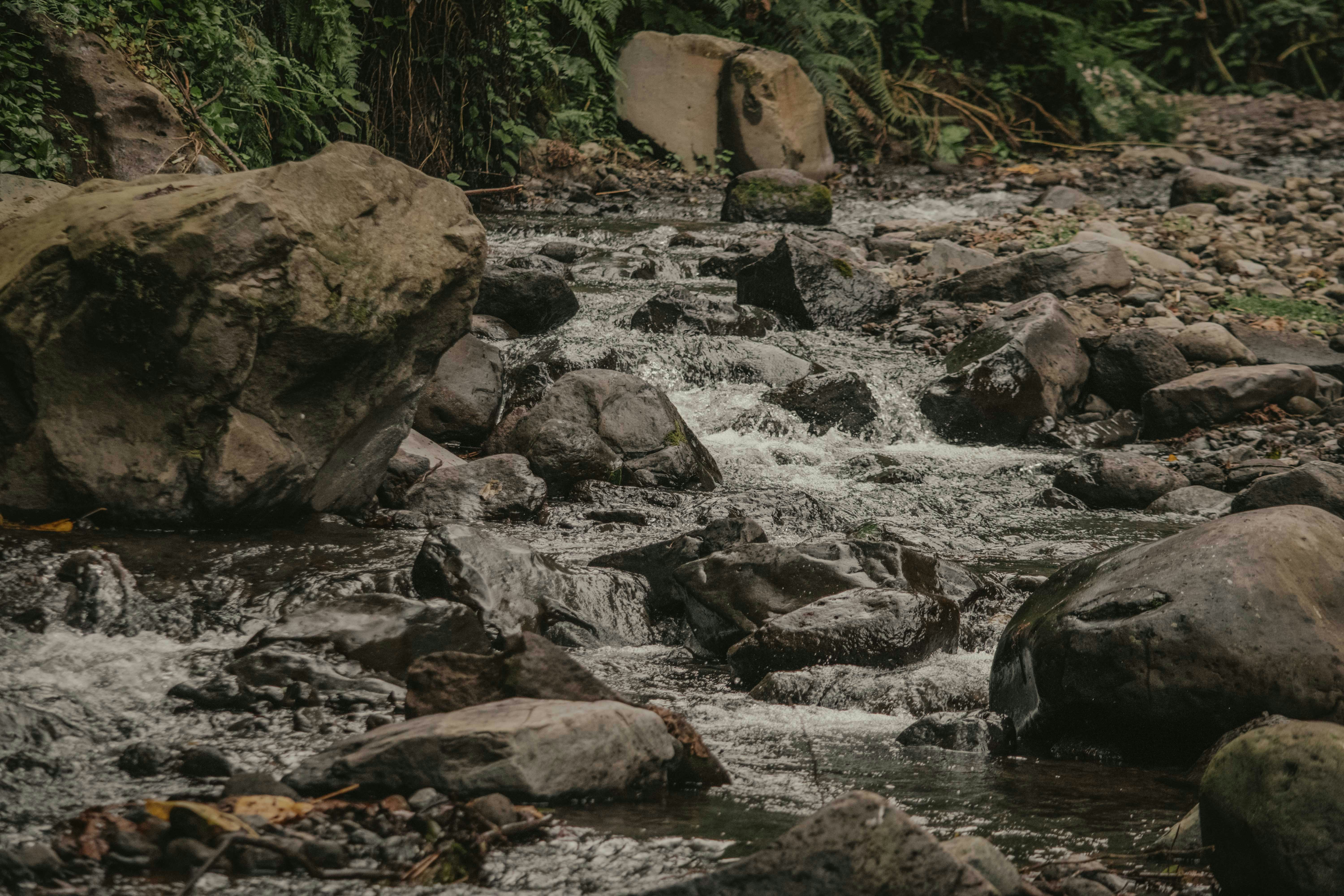 Photo by utunzajiwamazingira