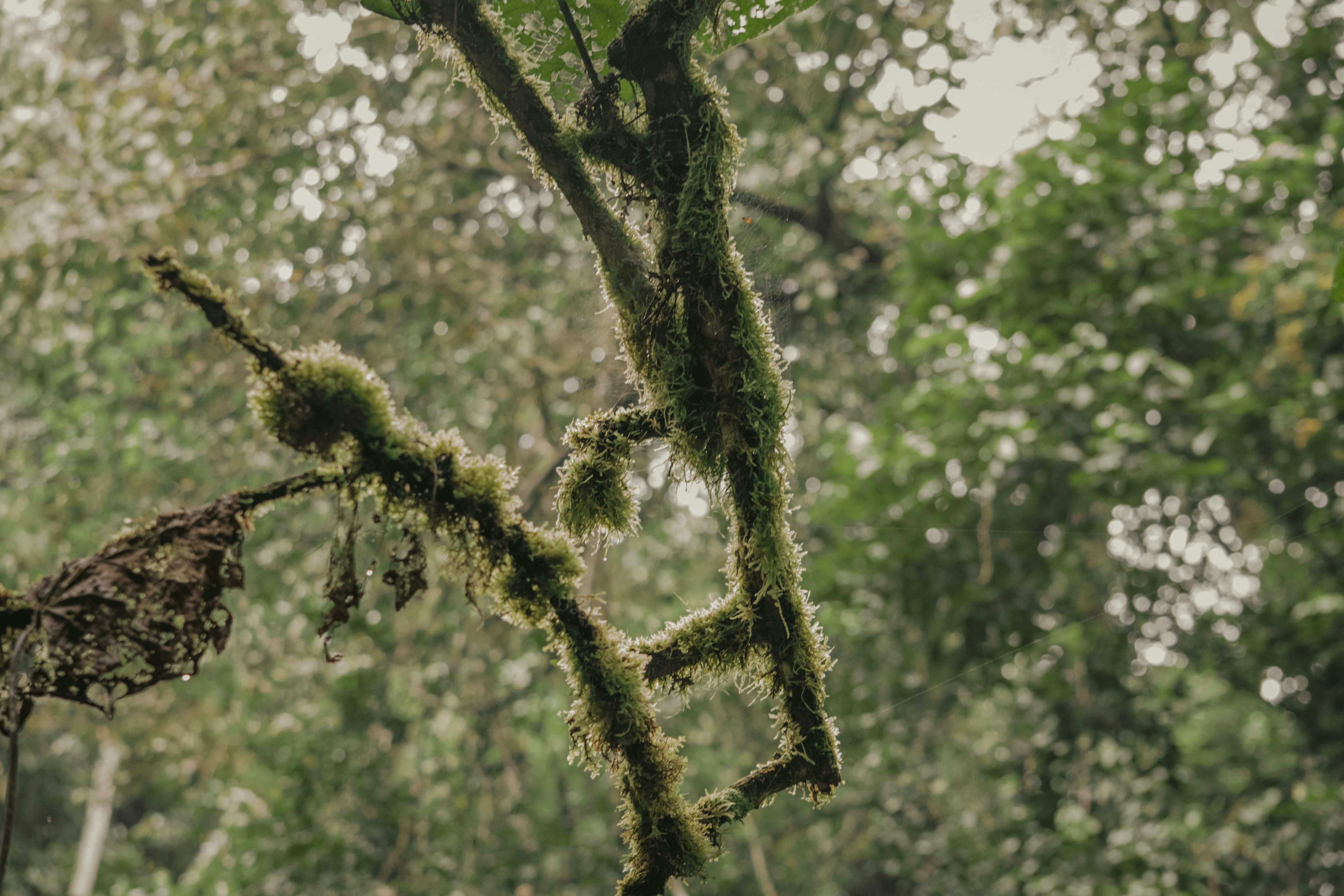 Photo by utunzajiwamazingira