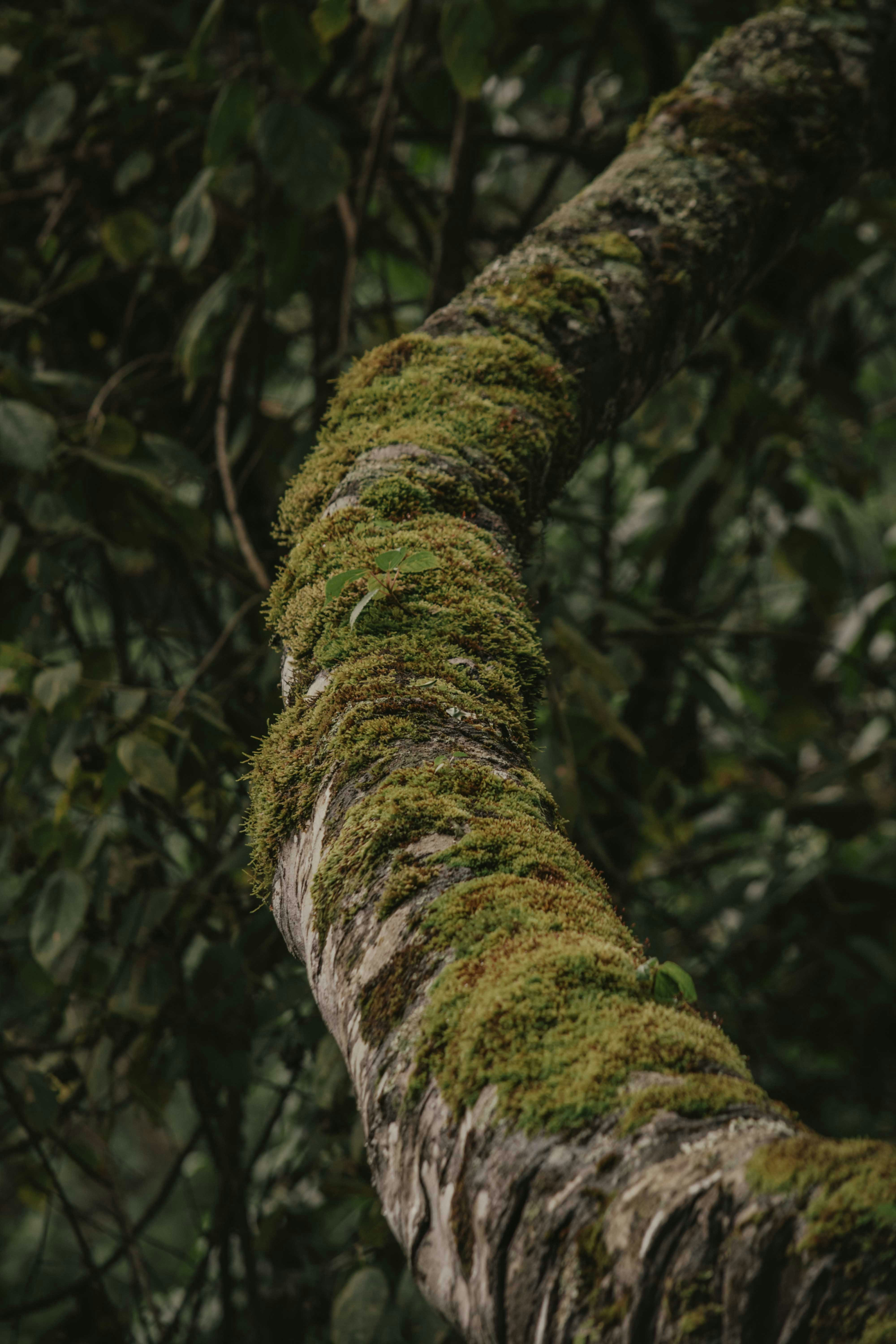 Photo by utunzajiwamazingira