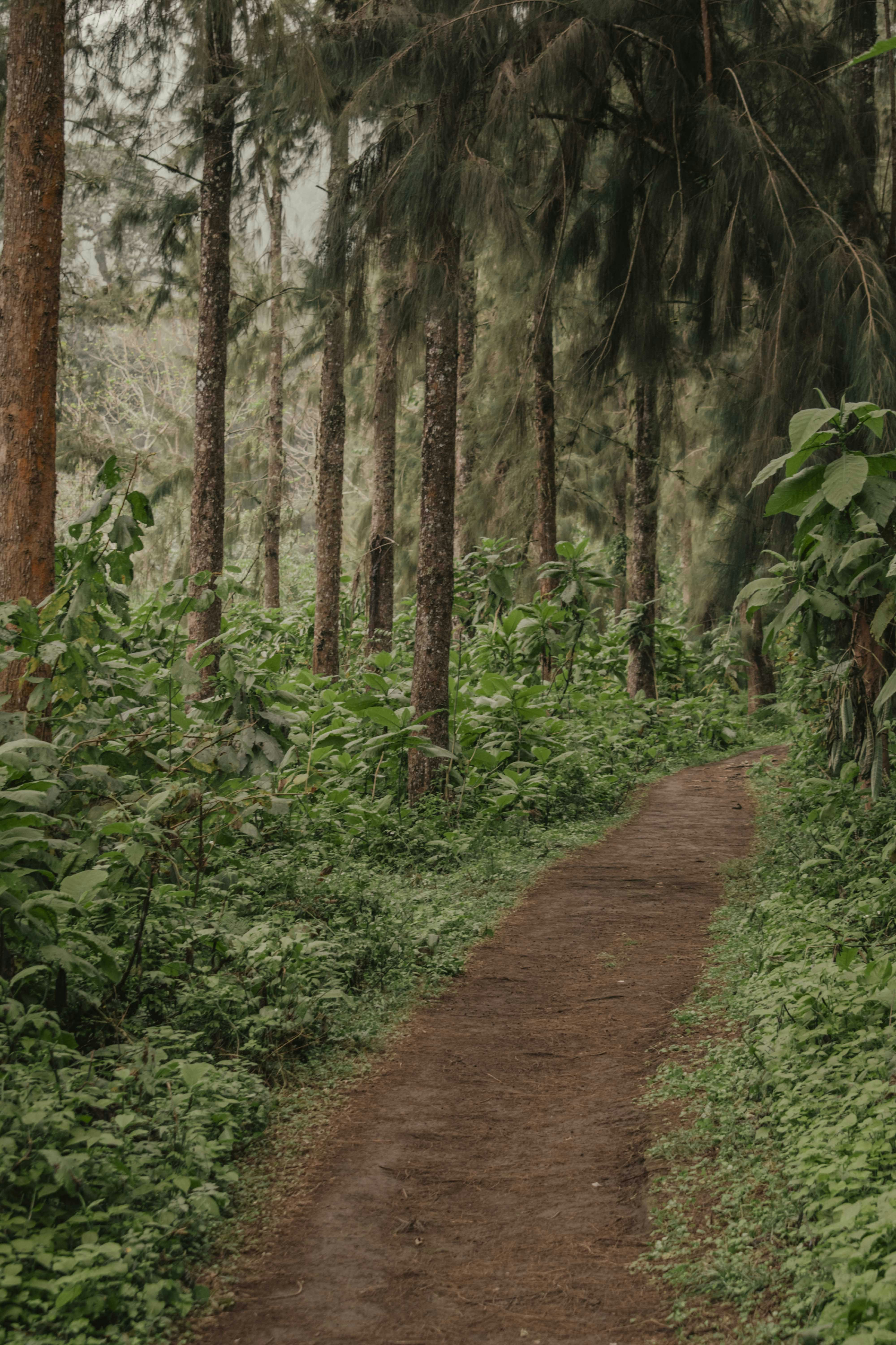 Photo by utunzajiwamazingira