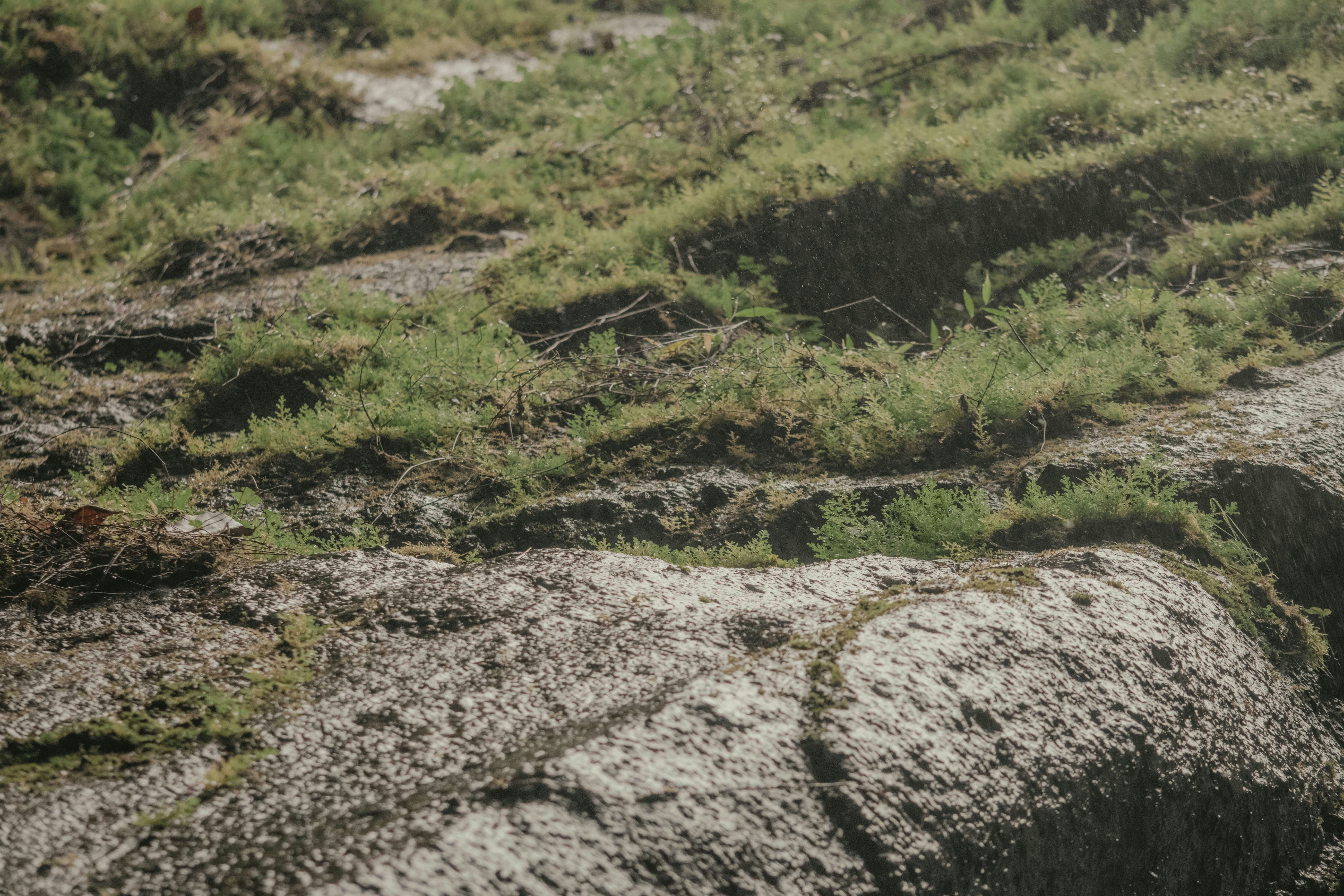 Photo by utunzajiwamazingira