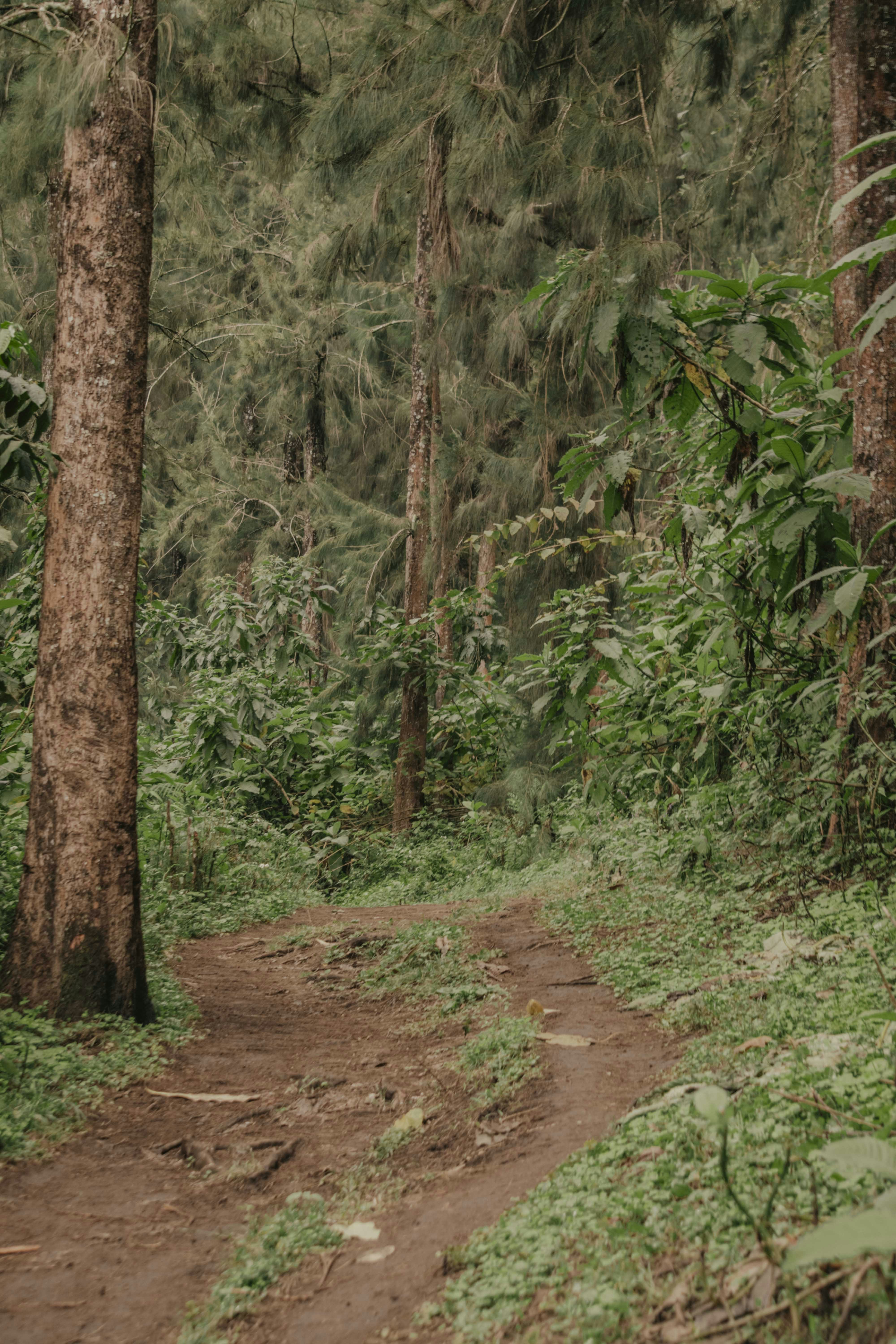 Photo by utunzajiwamazingira