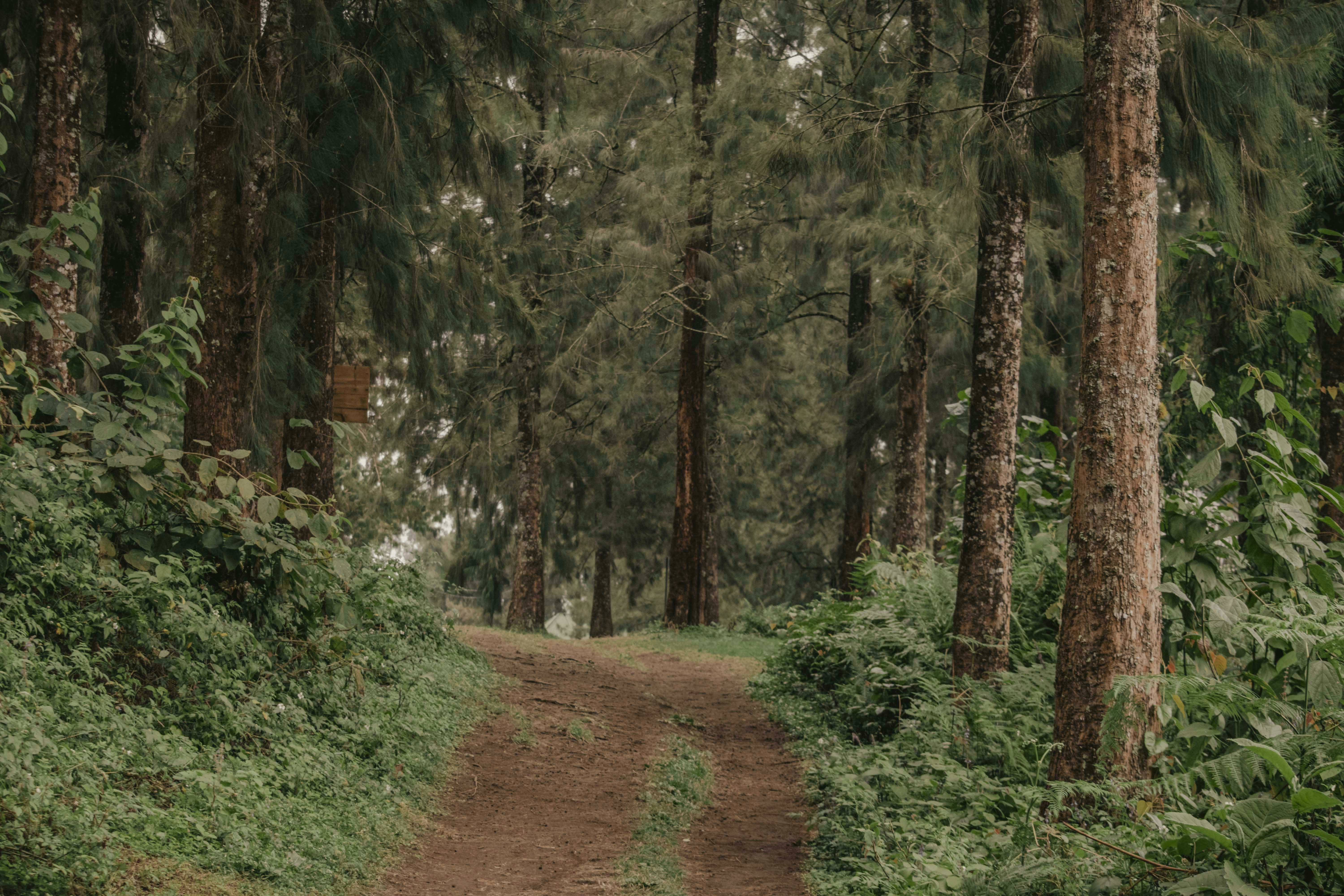 Photo by utunzajiwamazingira