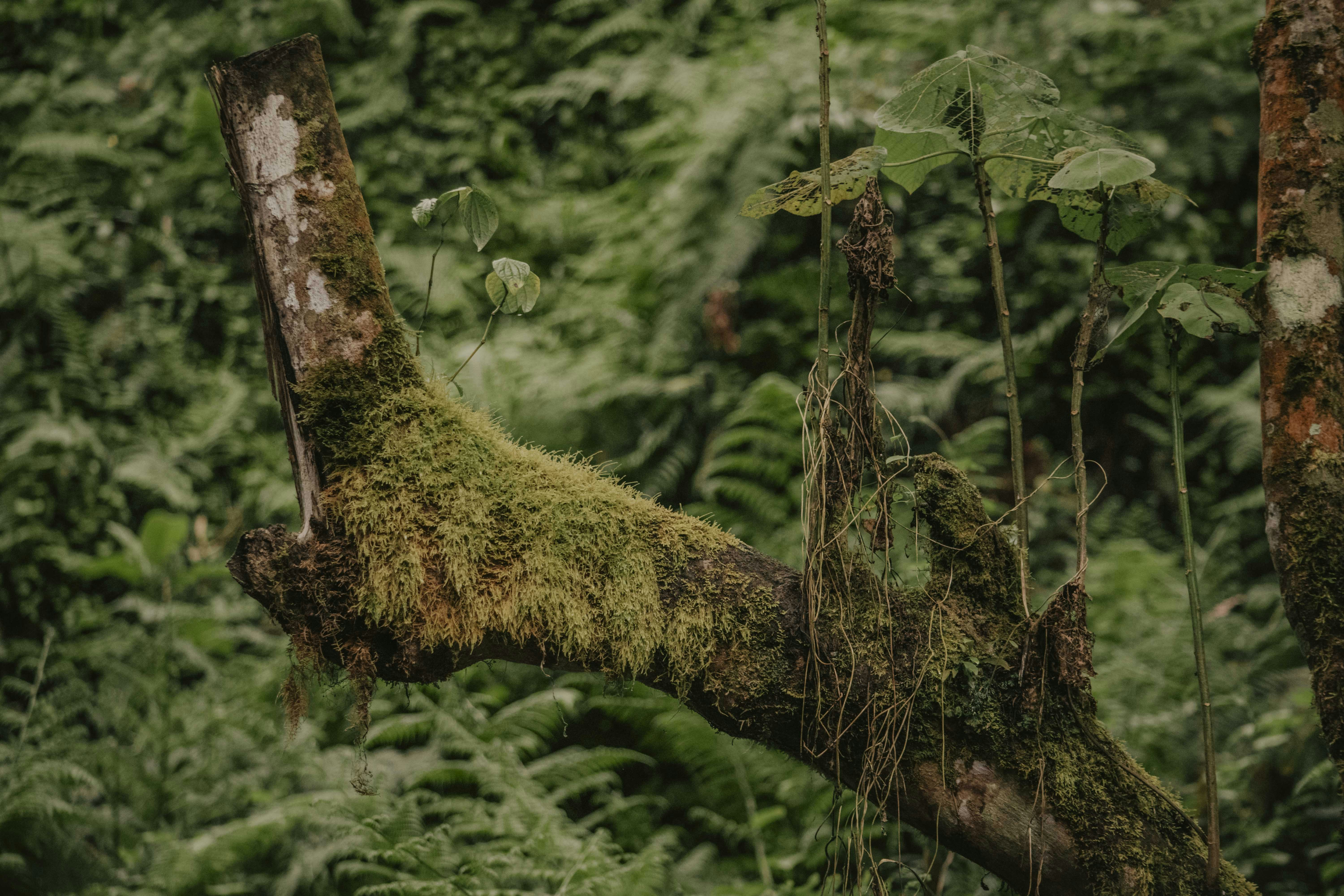 Photo by utunzajiwamazingira