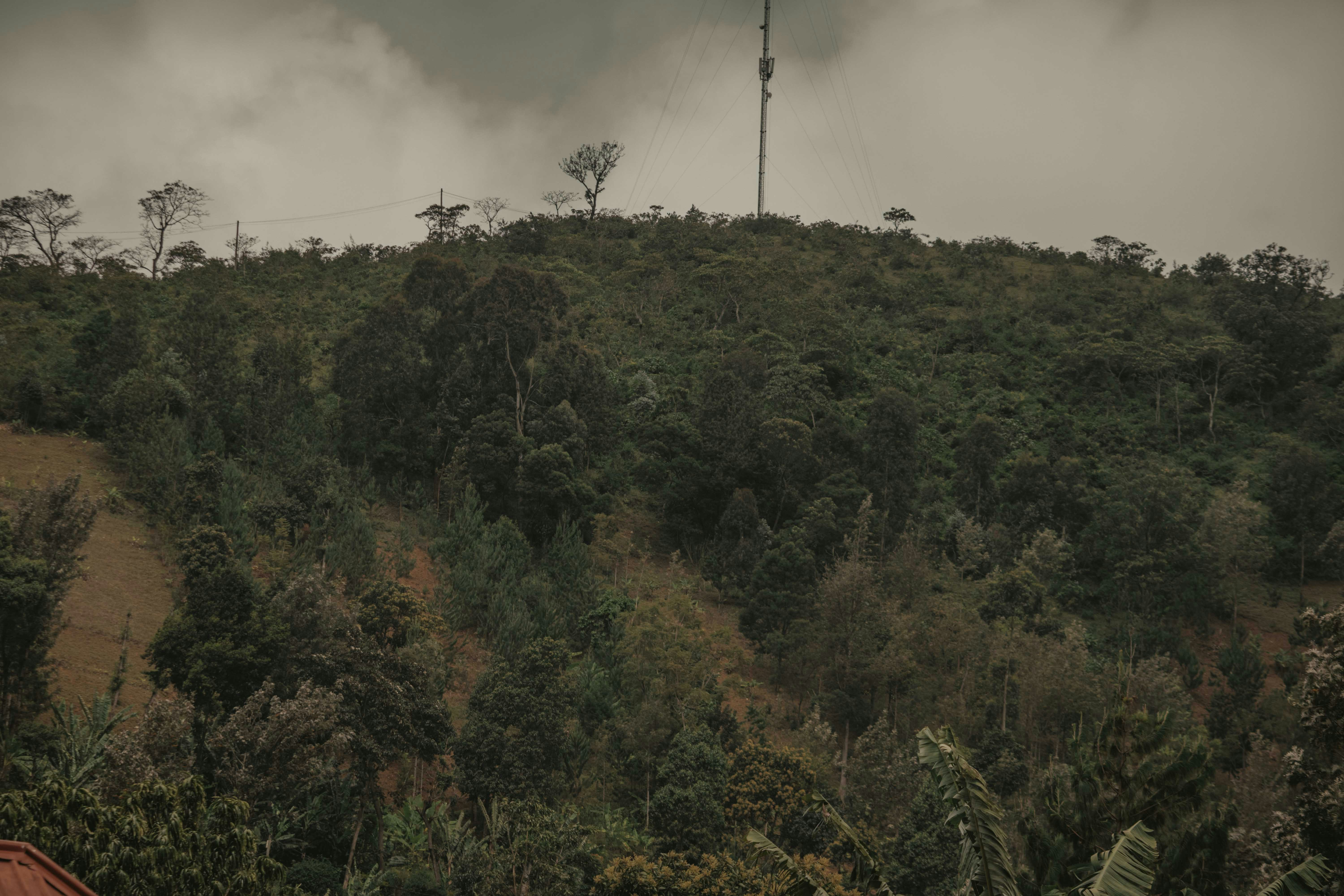 Photo by utunzajiwamazingira