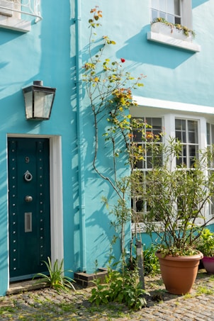 A vibrant teal-colored house facade is adorned with a black lantern light and a dark green front door. A potted plant is positioned near the entrance, and a vine with orange and red flowers climbs the wall. Sunlight casts gentle shadows across the scene.