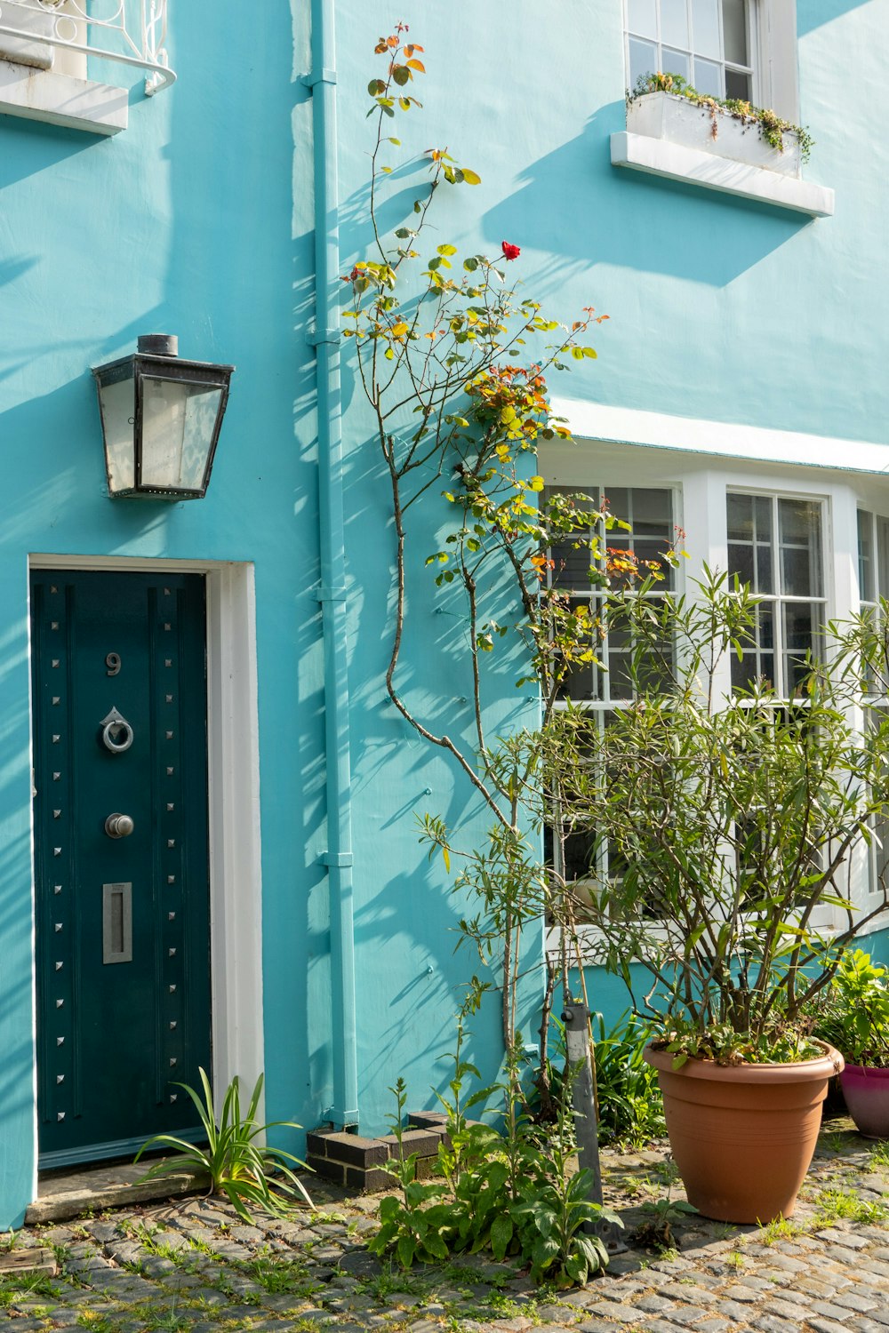 a blue building with a green door and window