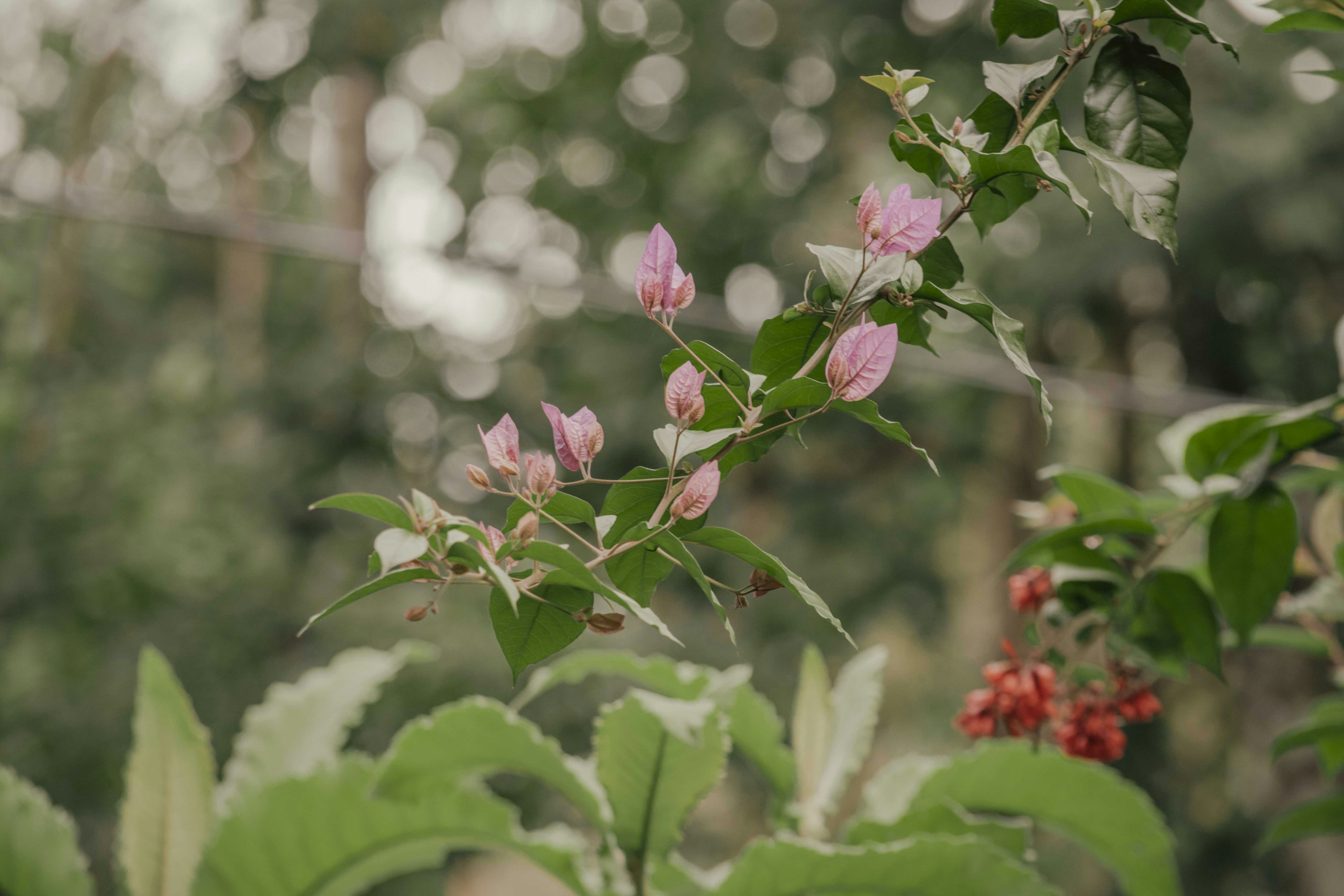 Photo by utunzajiwamazingira