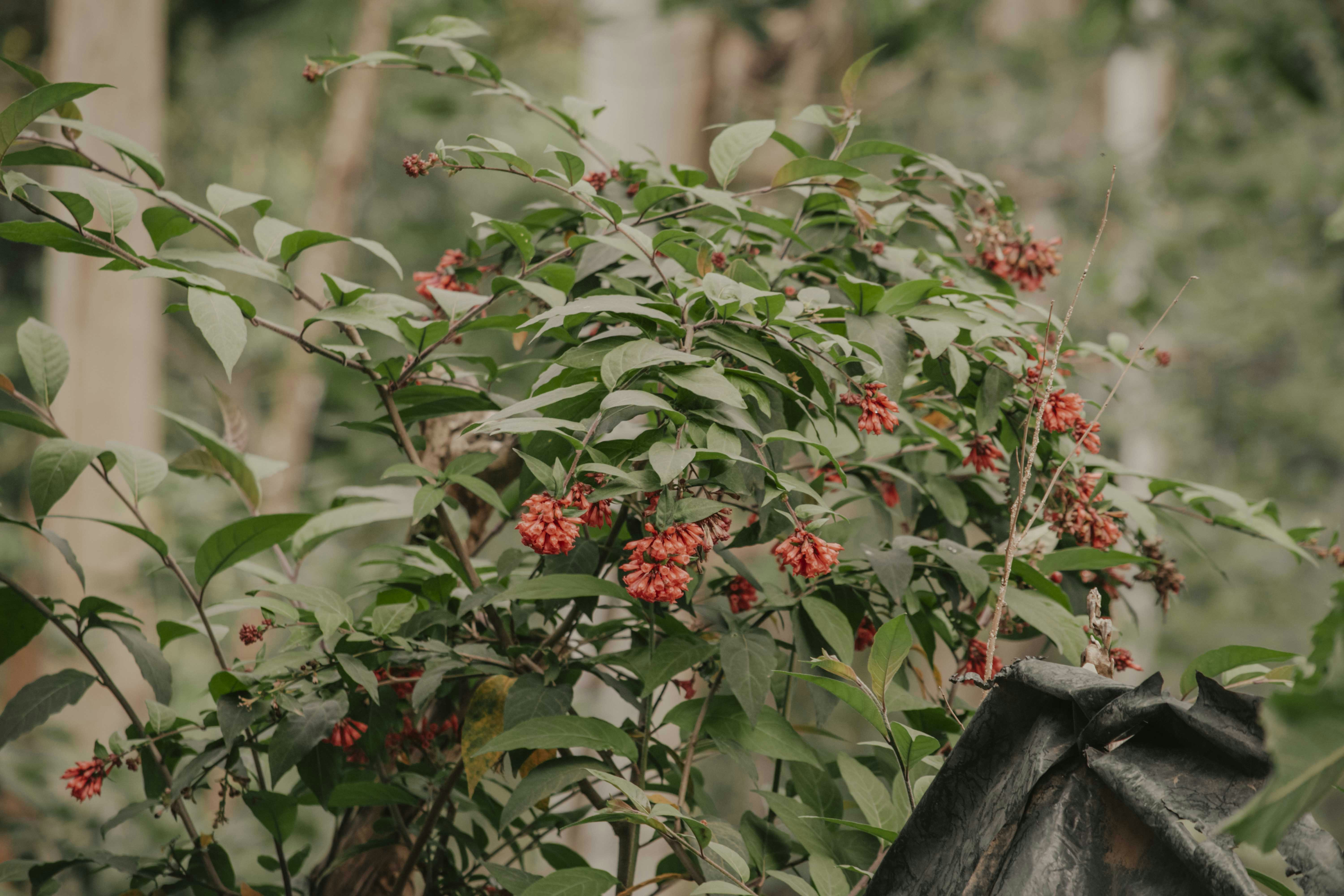 Photo by utunzajiwamazingira