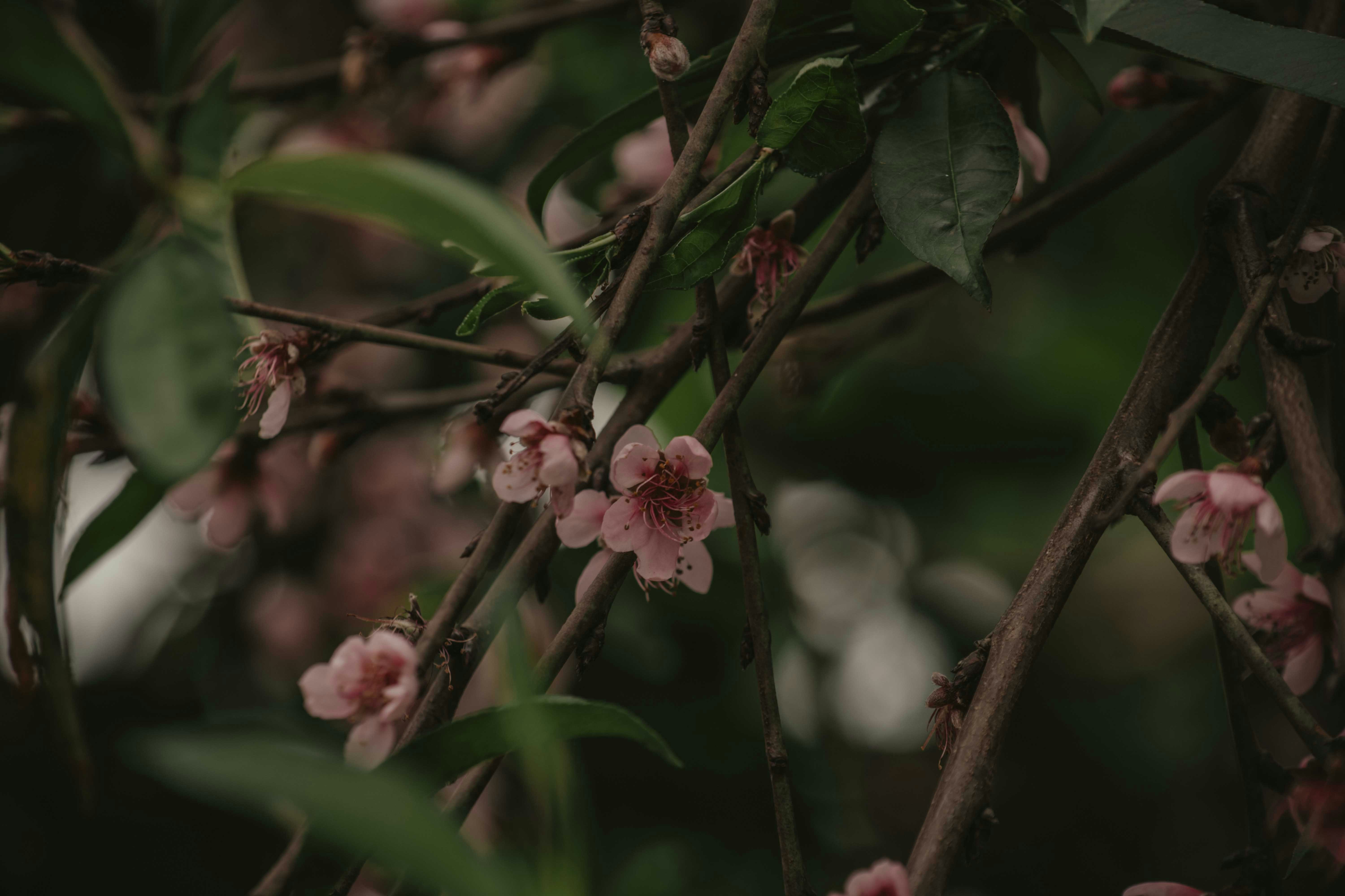 Photo by utunzajiwamazingira