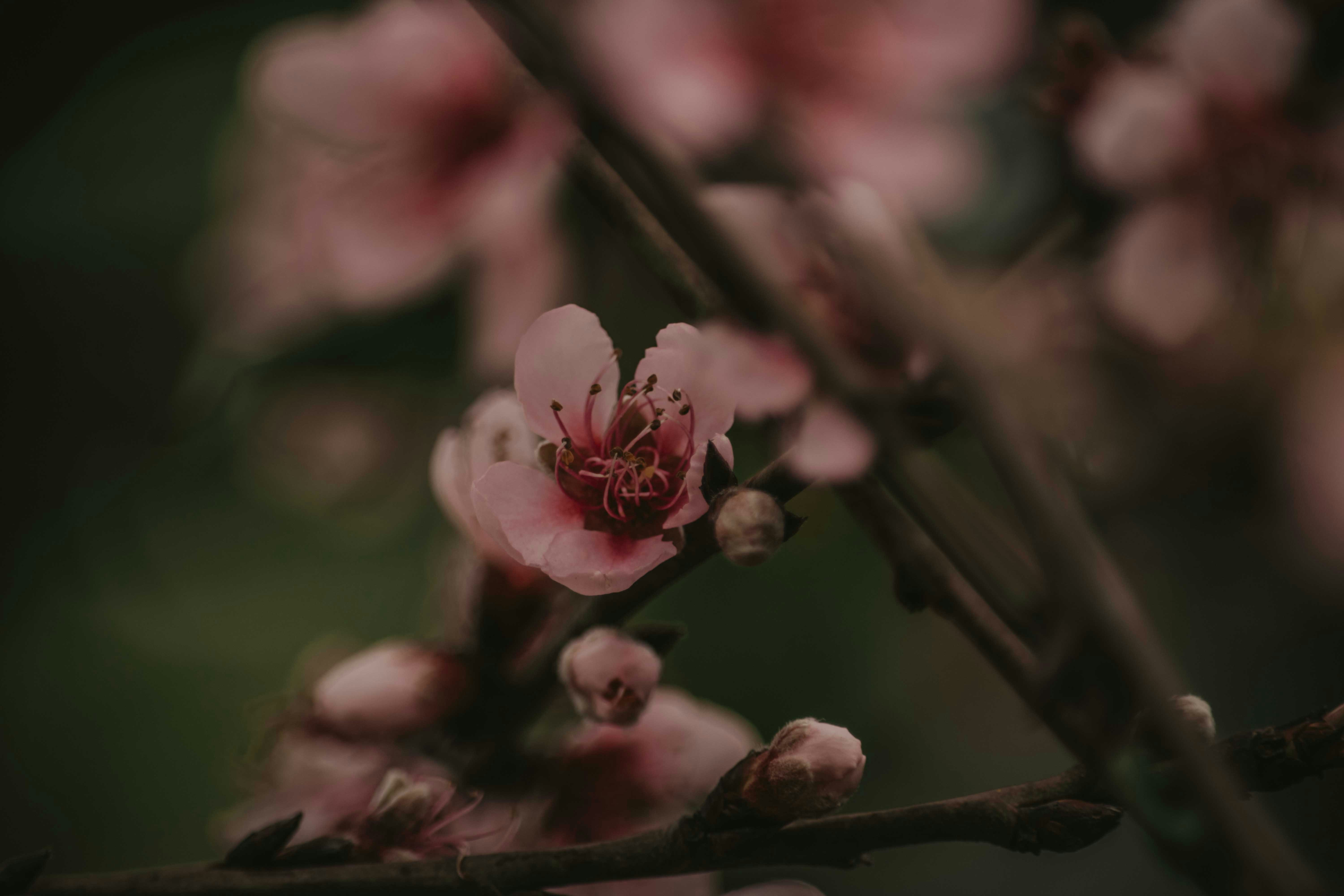 Photo by utunzajiwamazingira