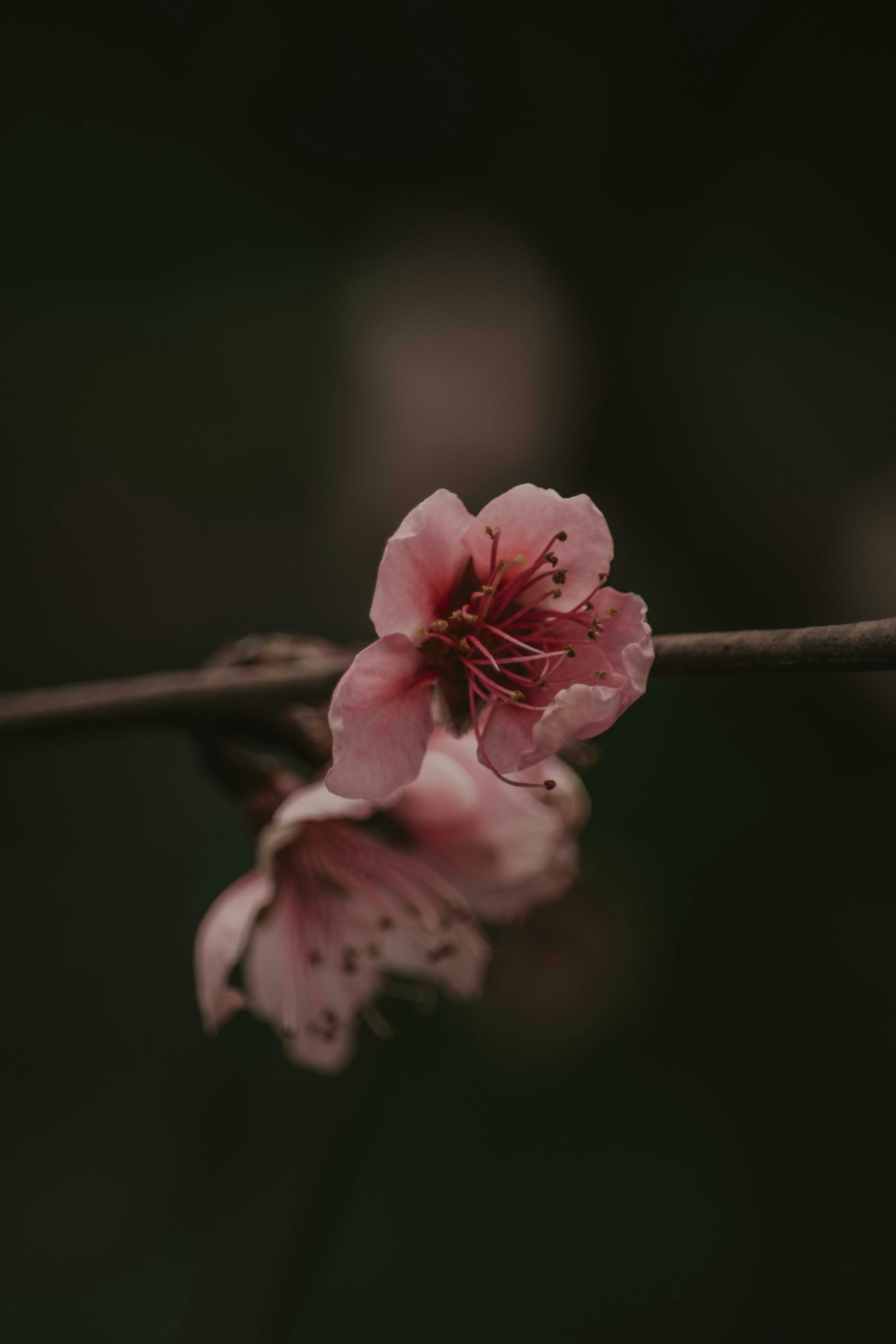 Photo by utunzajiwamazingira