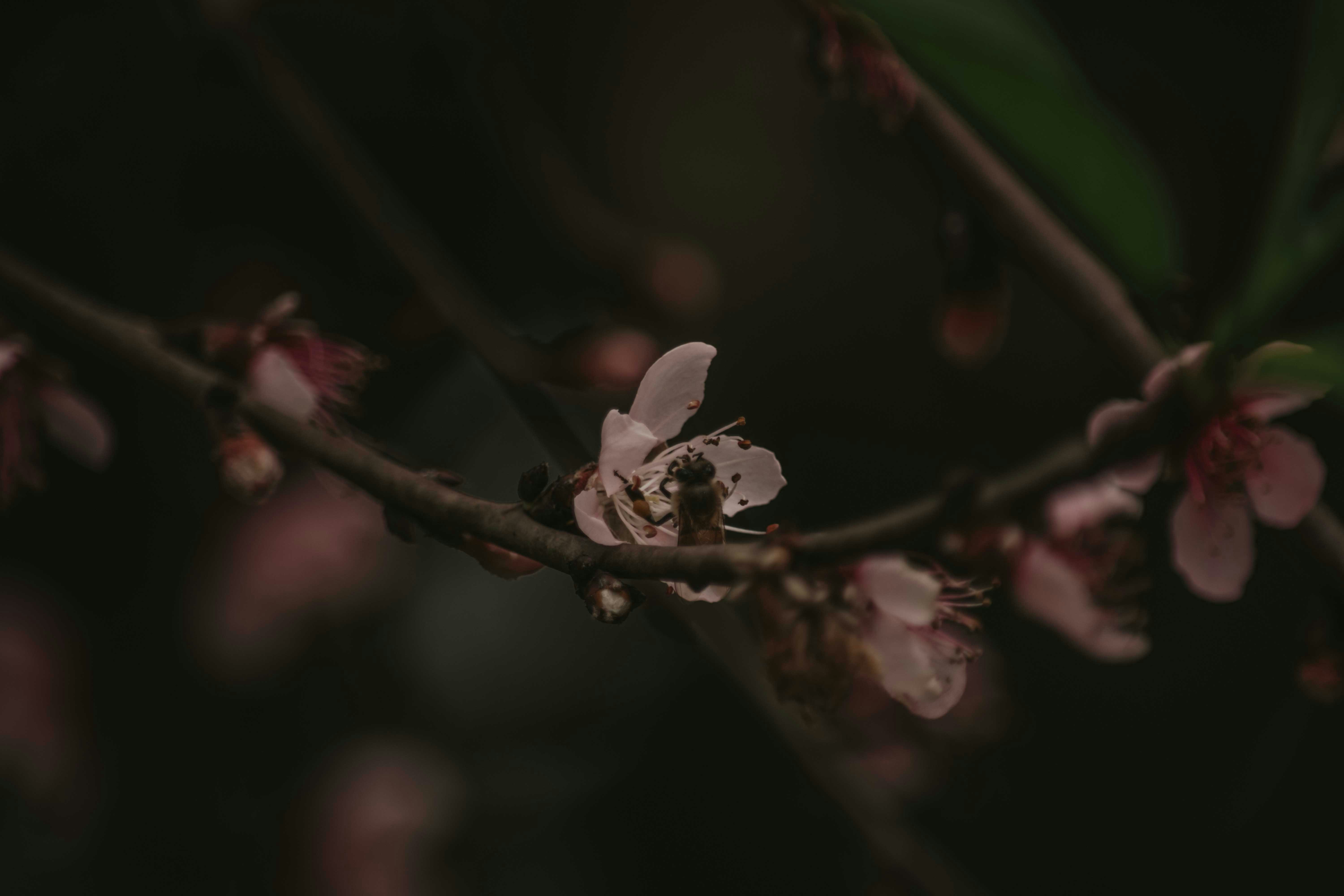 Photo by utunzajiwamazingira