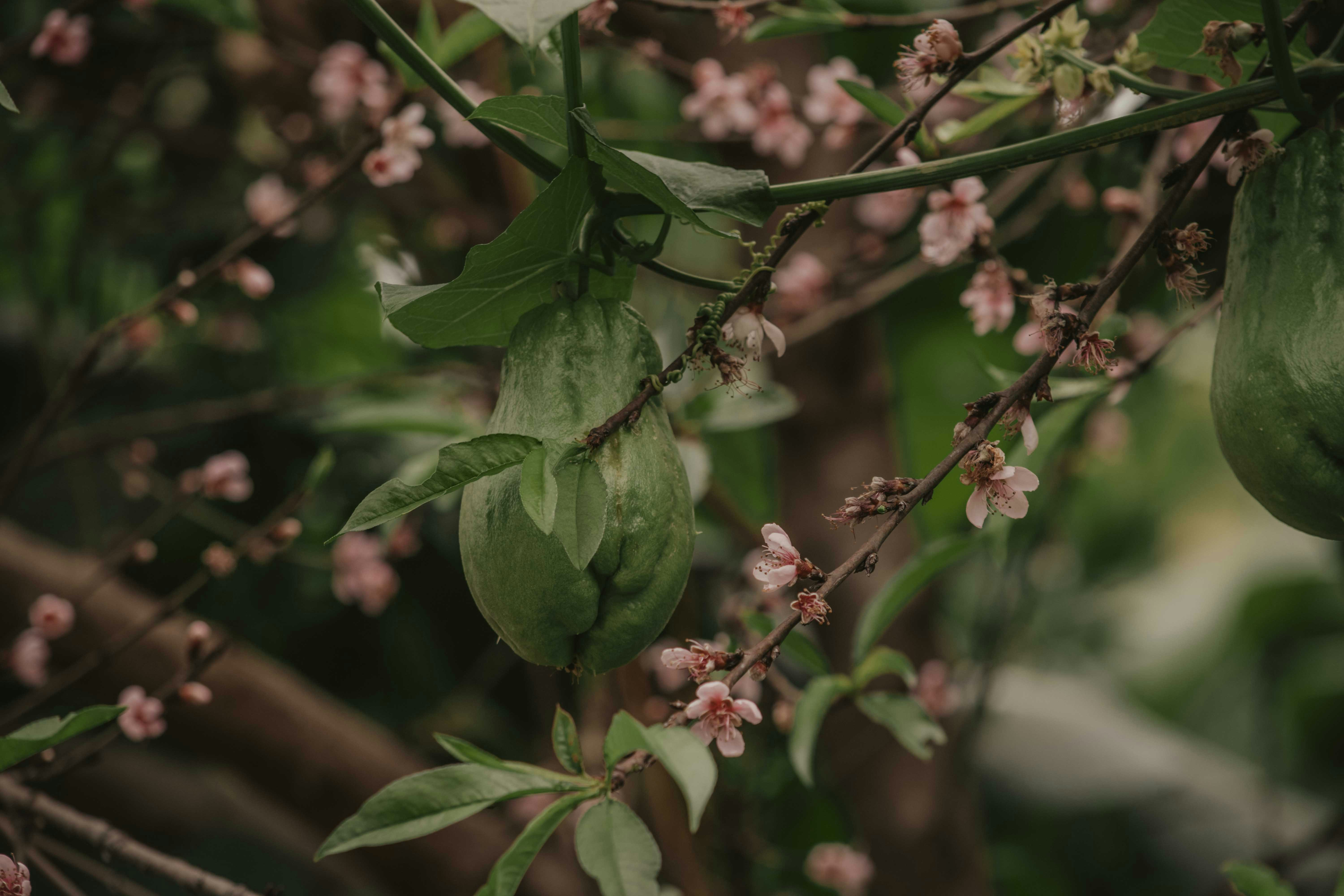 Photo by utunzajiwamazingira