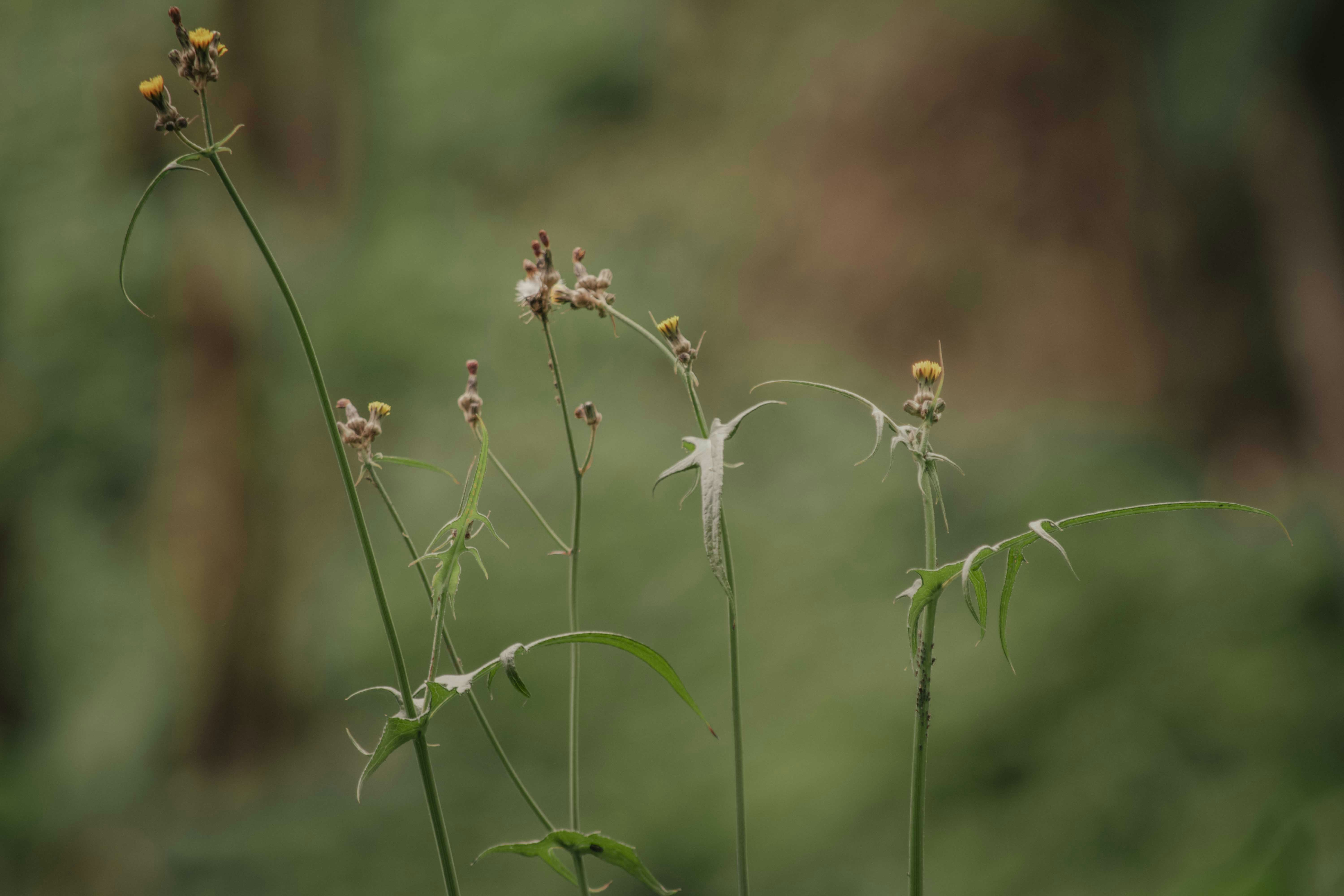 Photo by utunzajiwamazingira