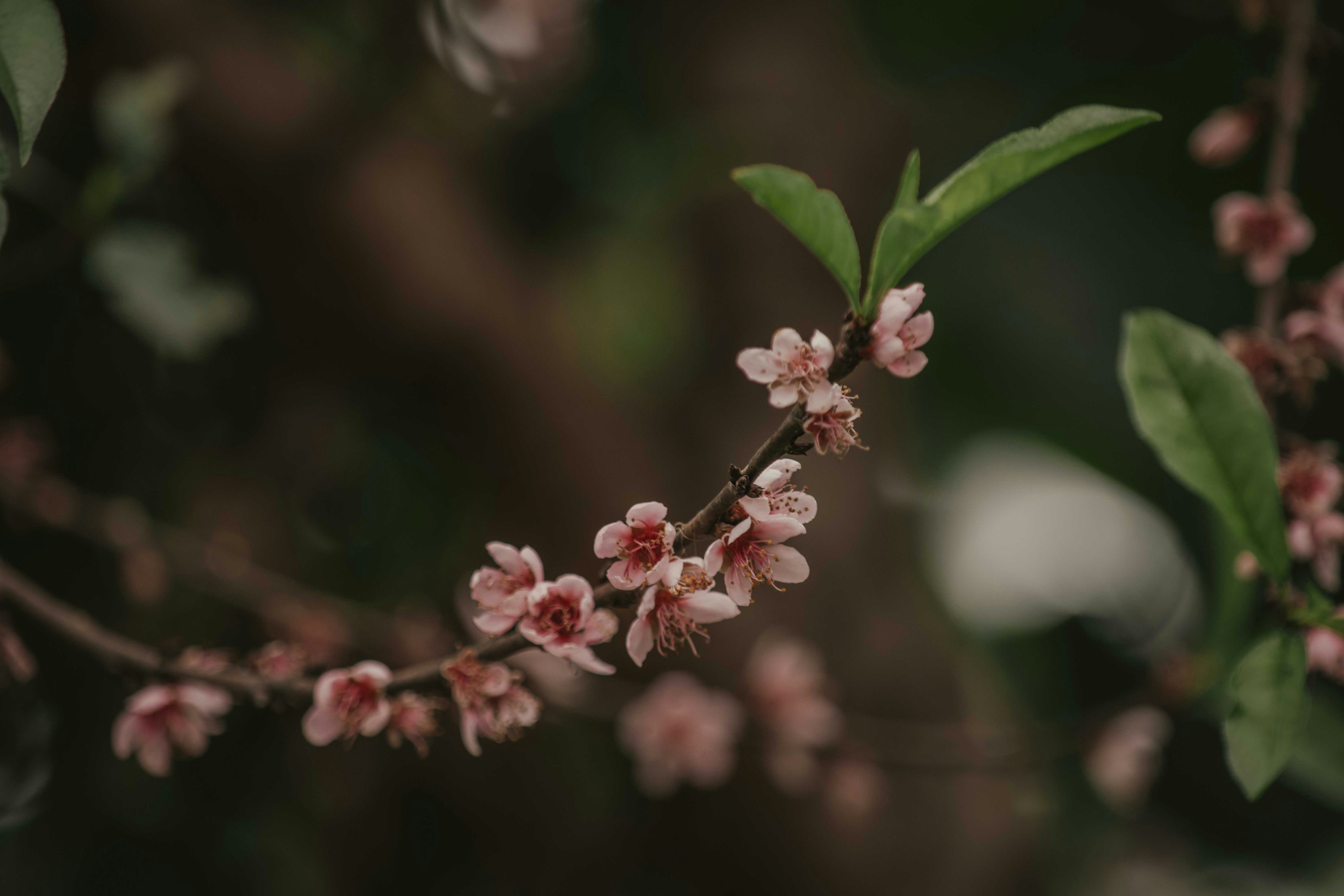 Photo by utunzajiwamazingira