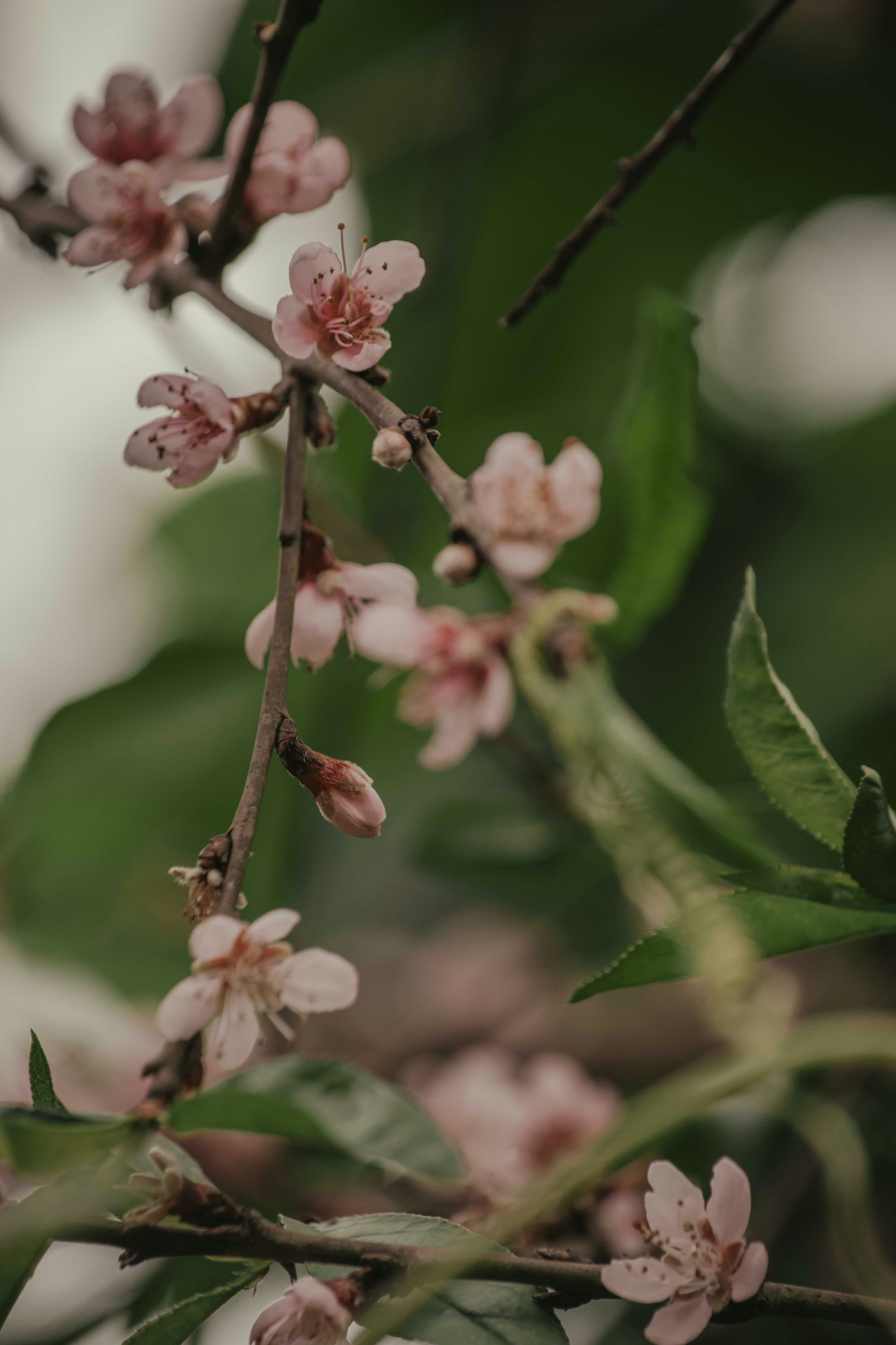 Photo by utunzajiwamazingira