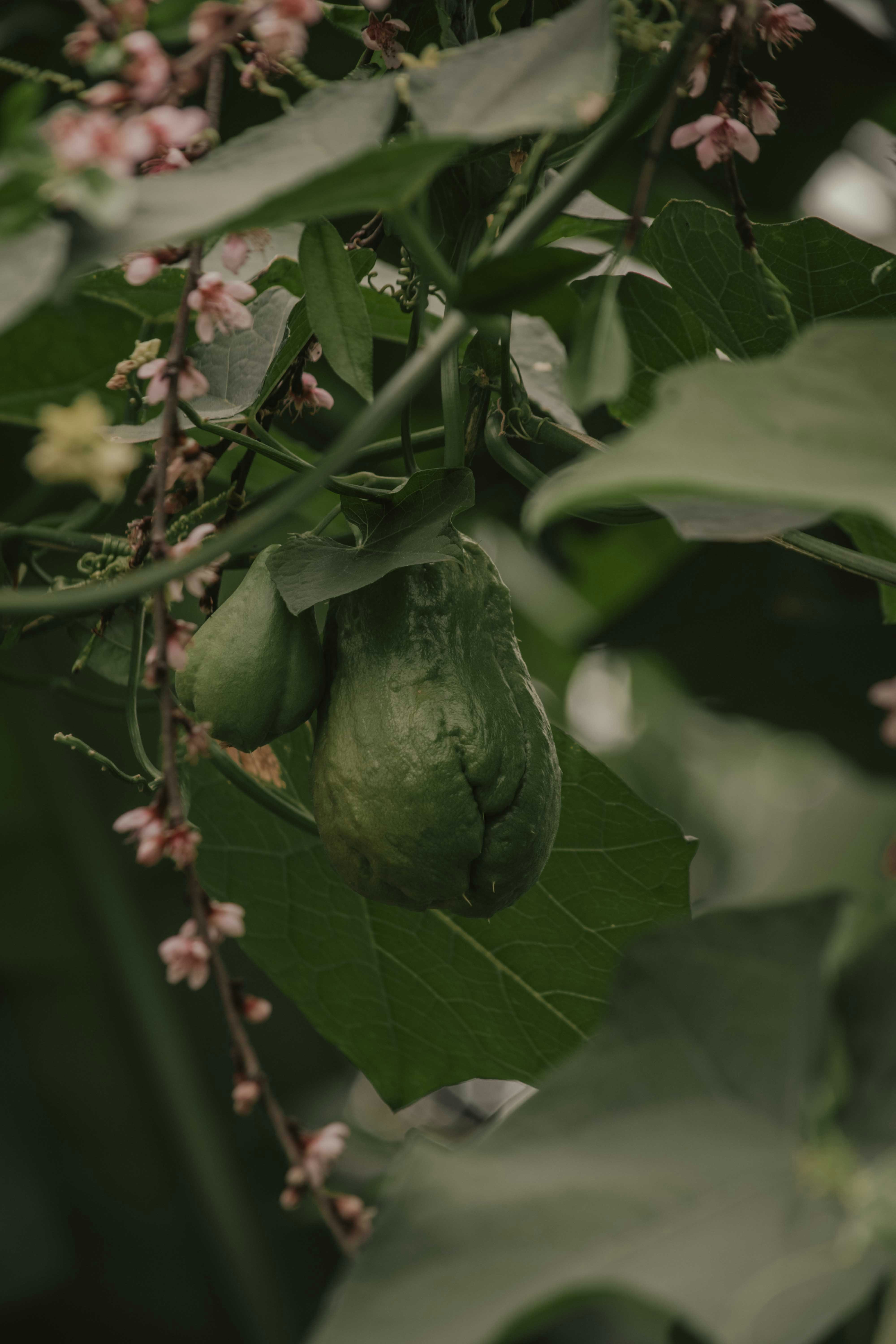 Photo by utunzajiwamazingira