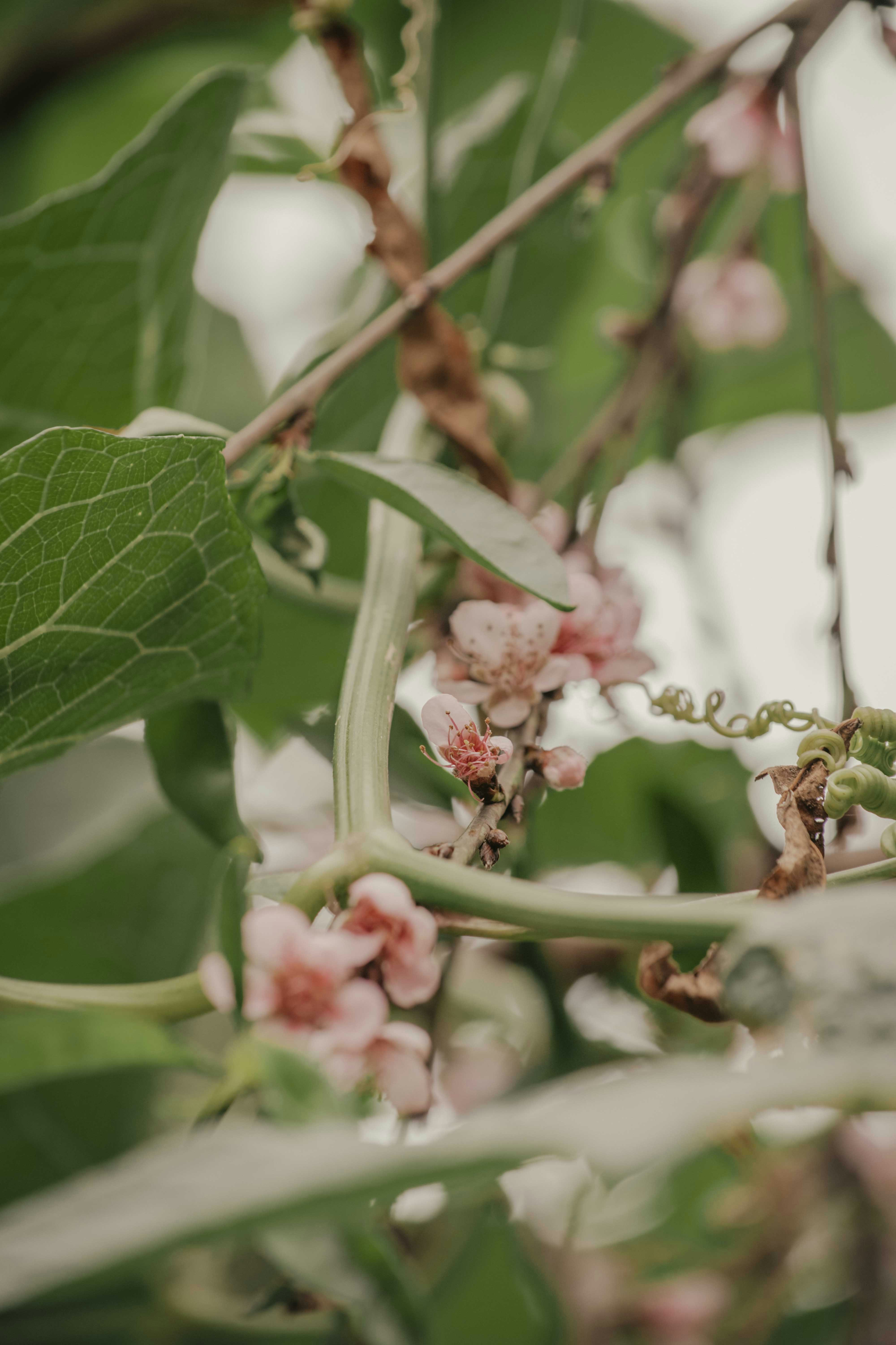 Photo by utunzajiwamazingira