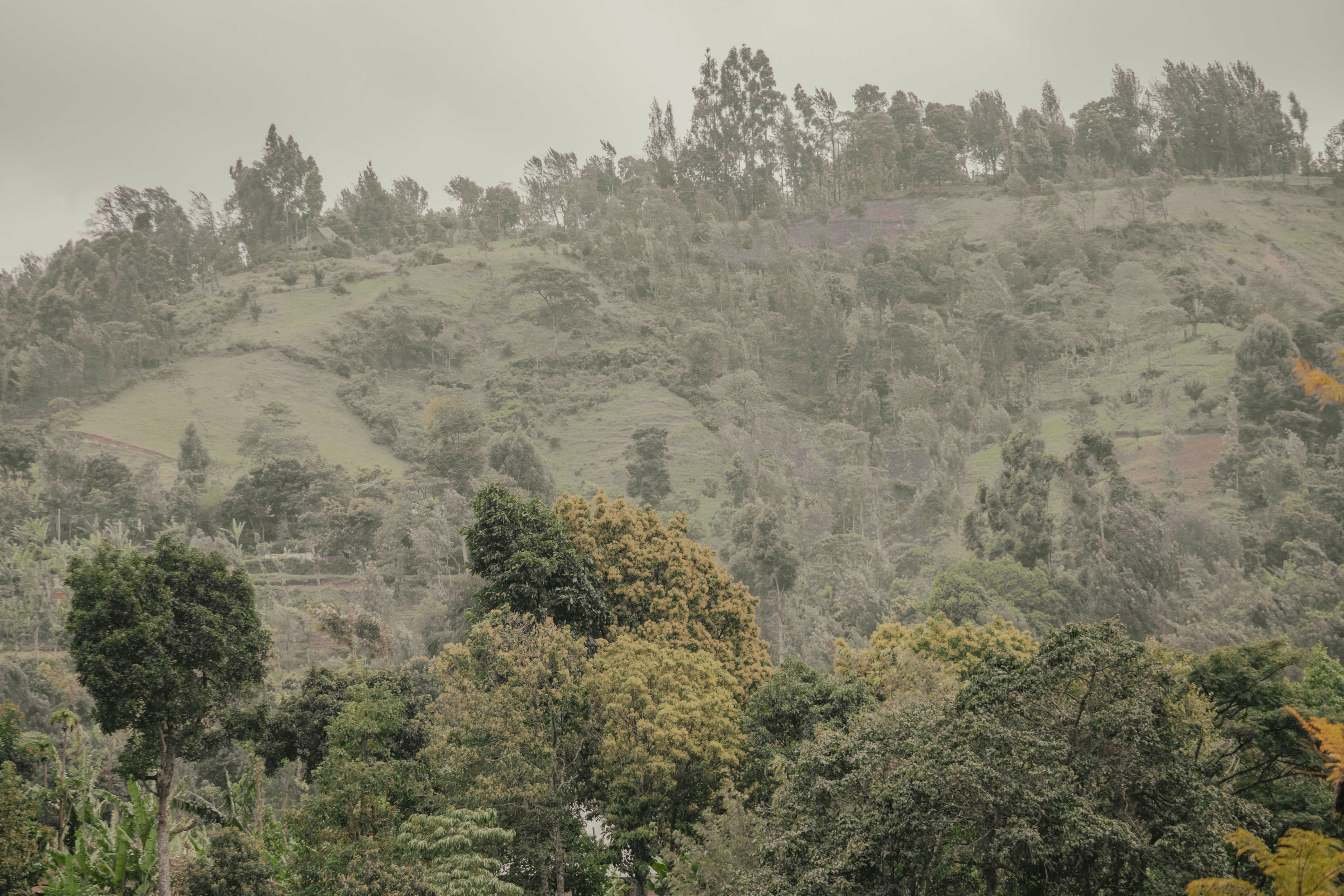 Photo by utunzajiwamazingira