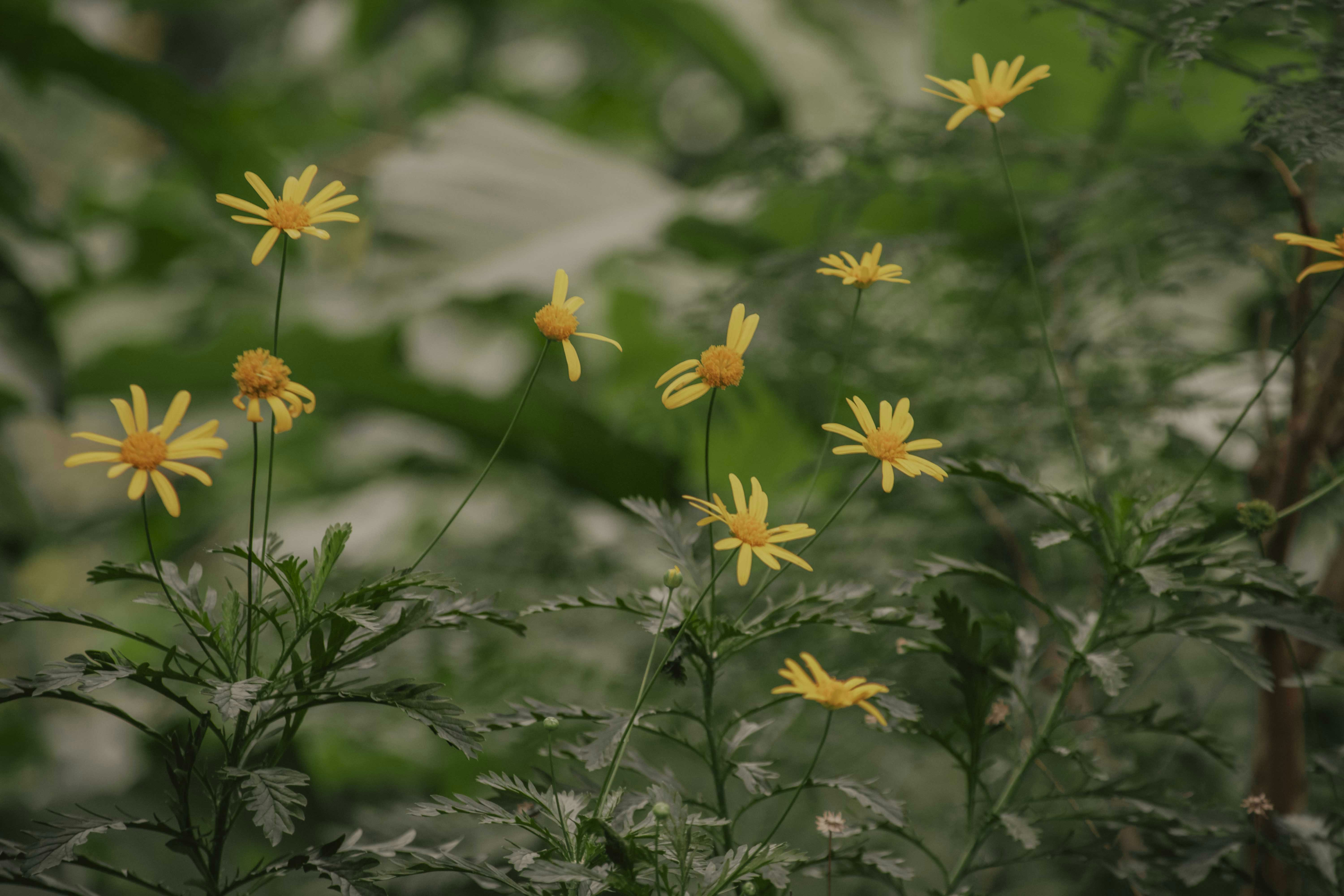 Photo by utunzajiwamazingira